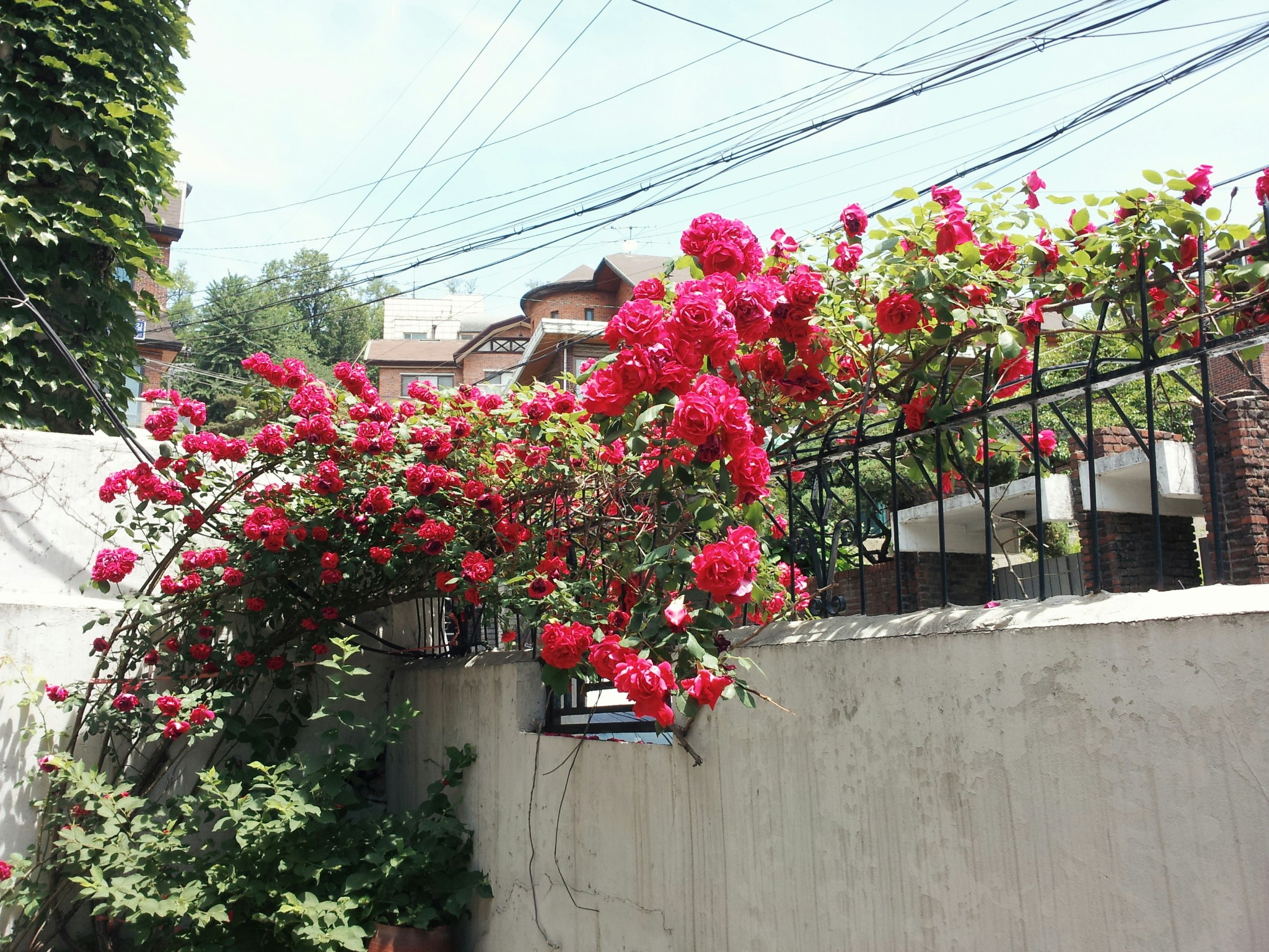 Free Unsplash photo from know mi rae