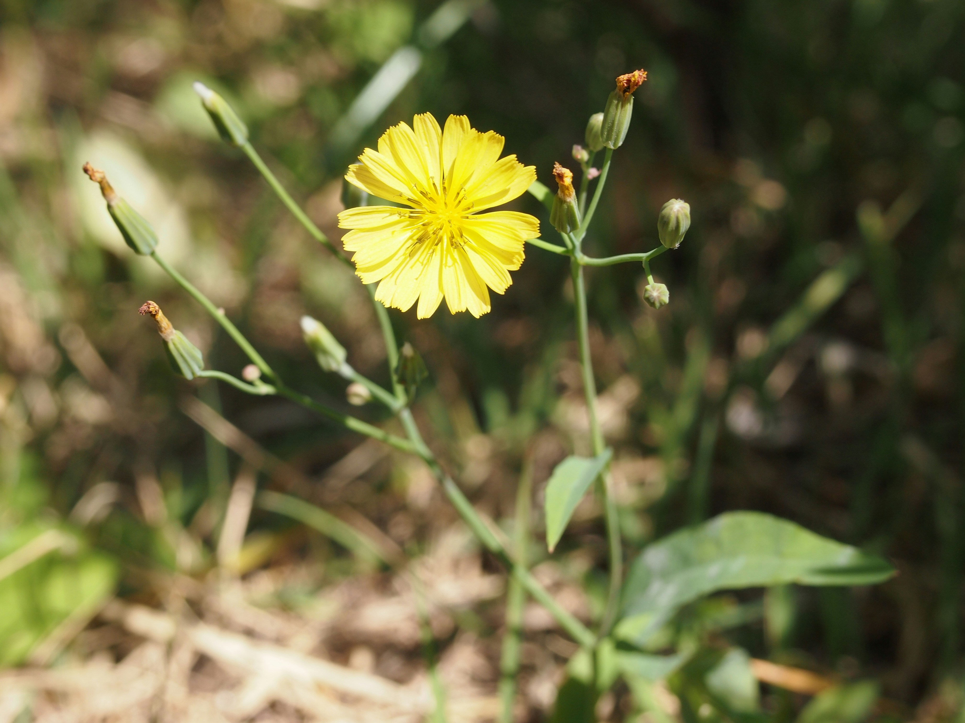 Free Unsplash photo from know mi rae