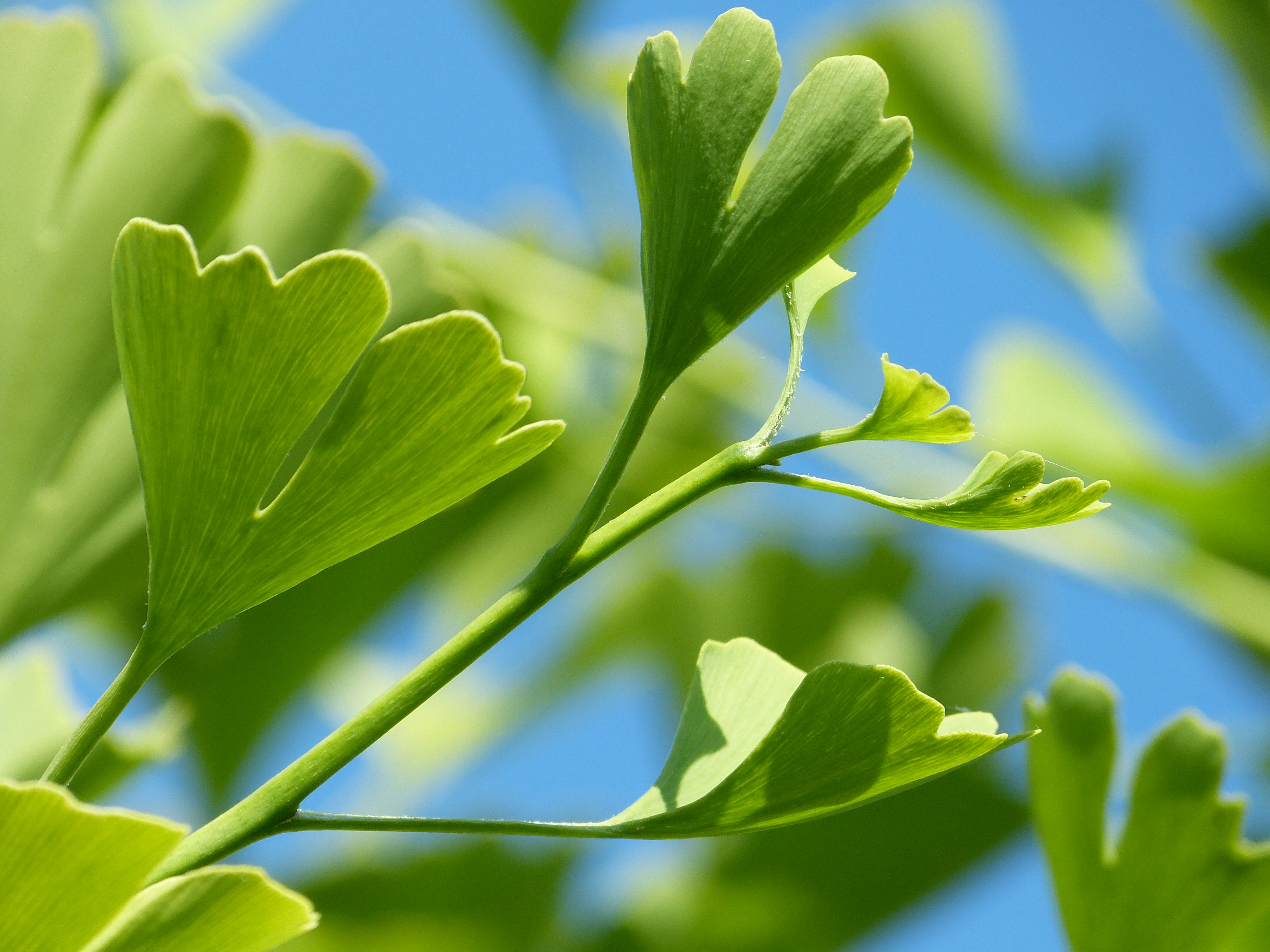 Free Unsplash photo from Paul Eißner