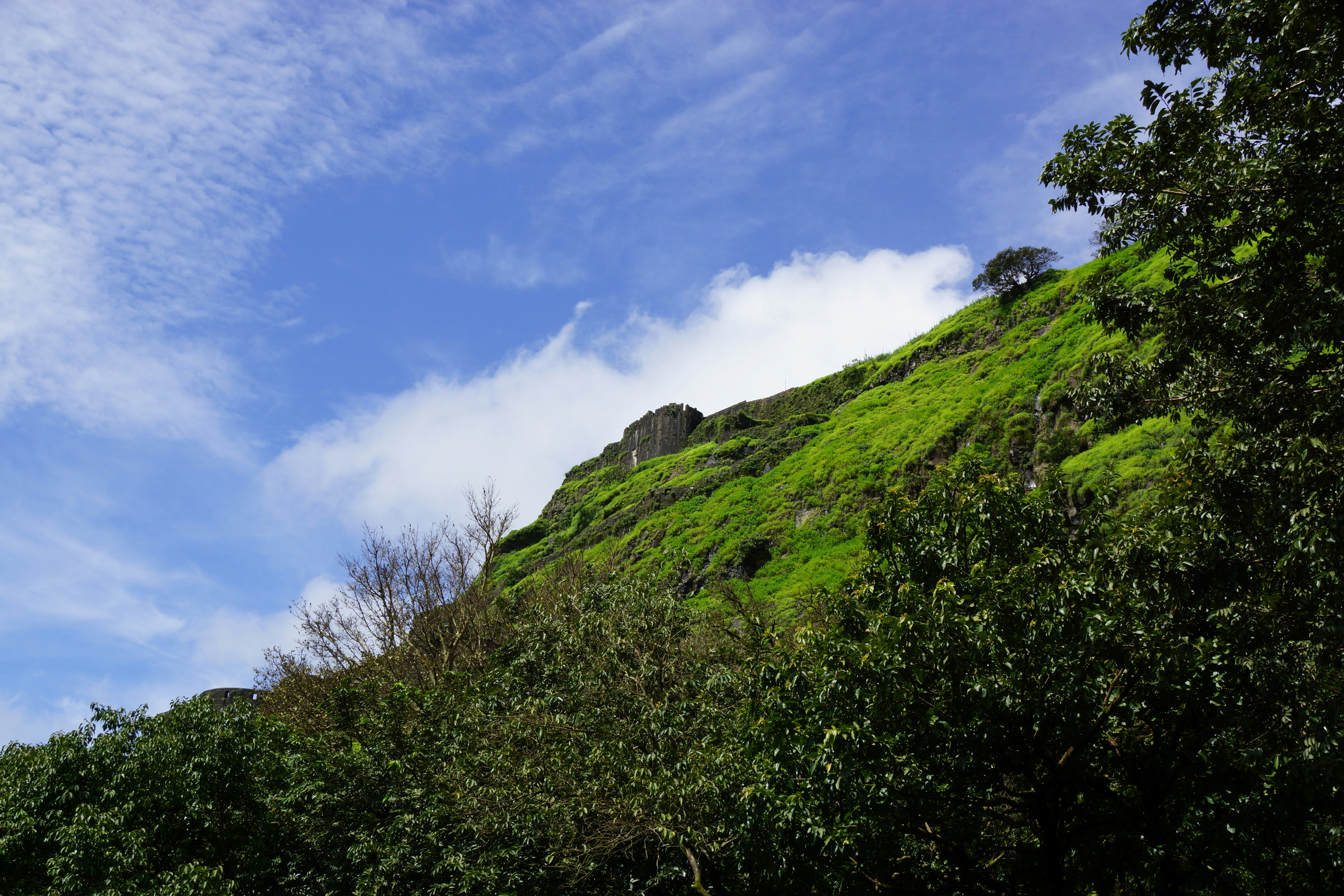 Free Unsplash photo from Harsh  Jain