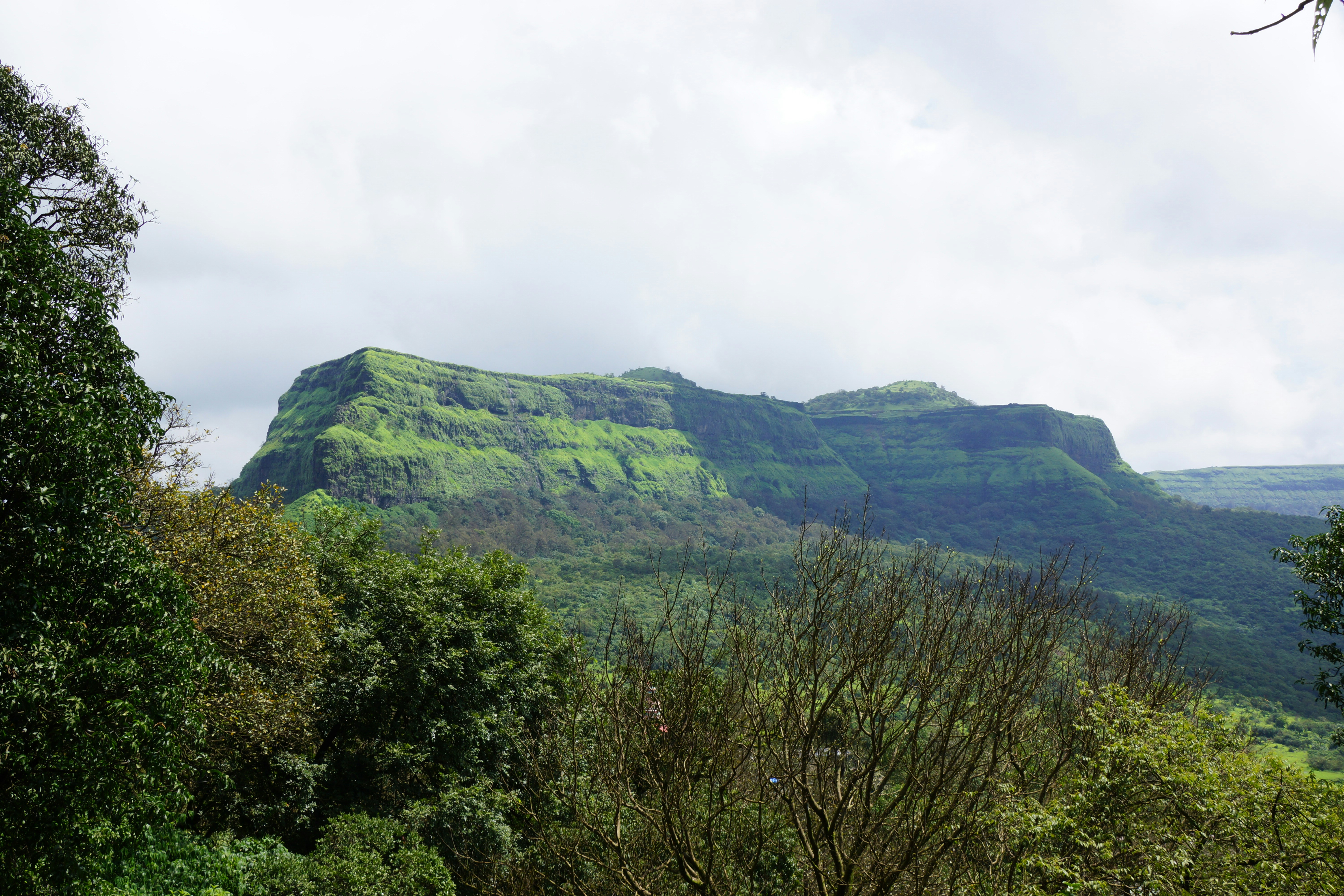 Free Unsplash photo from Harsh  Jain