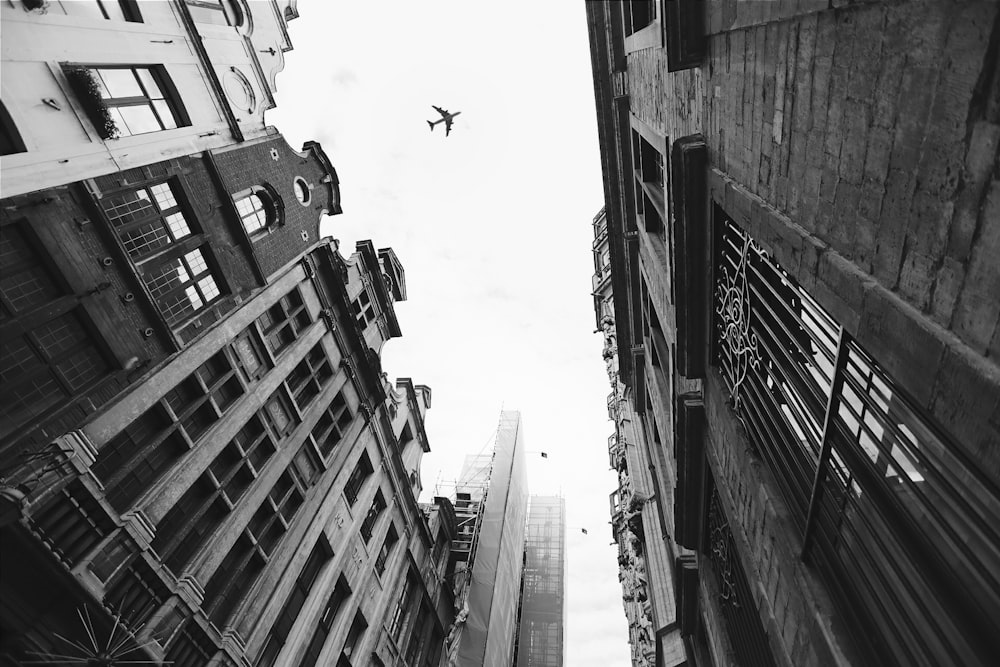 grayscale photo of high rise buildings