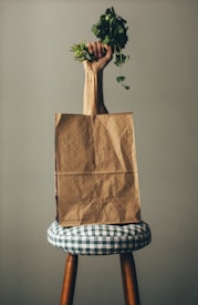 A hand holding a bunch of green cilantro emerges from an open brown paper bag placed on a stool with a checkered cushion. The background is a plain, muted color, creating a minimalist and artistic composition.