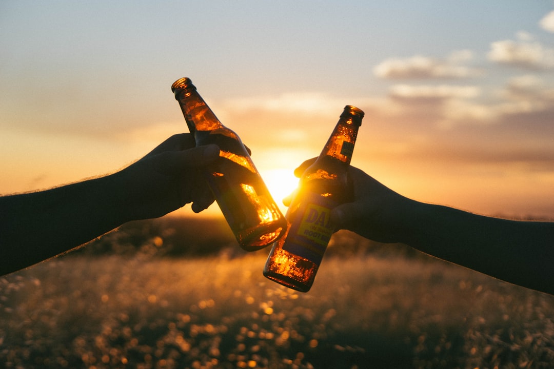 Two men holding beer bottles cheers at sunset in silhouette