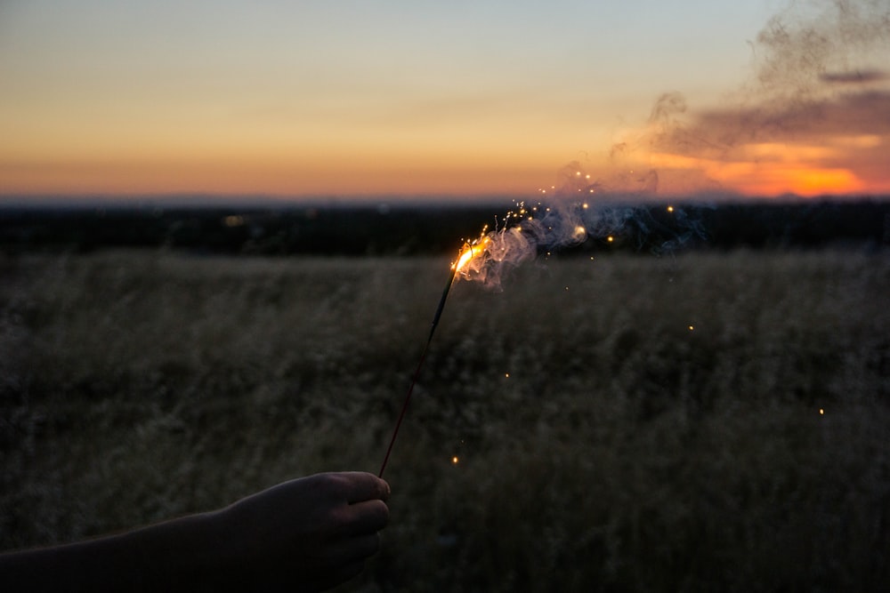 a person holding a sparkler in a field at sunset