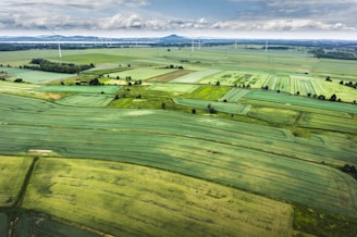 aerial photography of green grass field during daytime