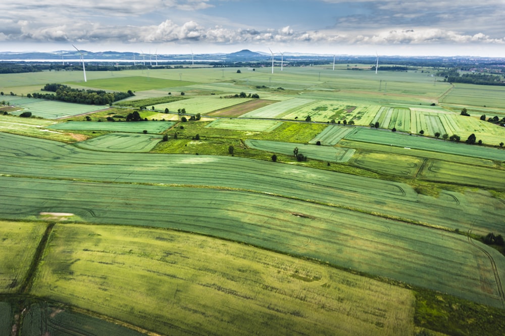 Luftaufnahme einer grünen Rasenwiese bei Tag