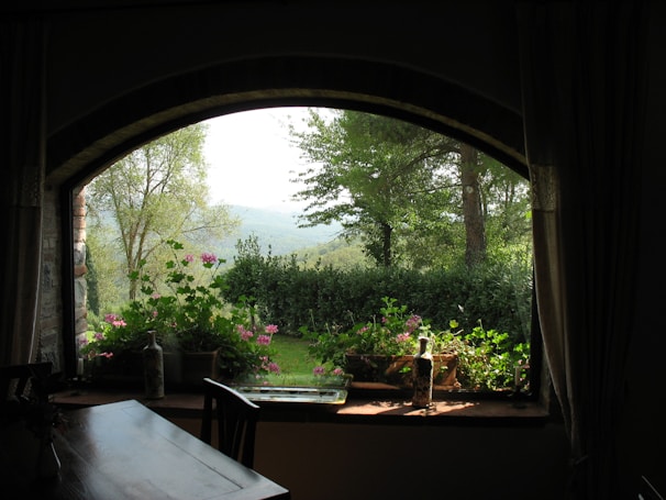 A peaceful window view overlooking a quiet garden, inviting contemplation.