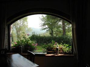 Evening view through a window showing a peaceful garden outside the room