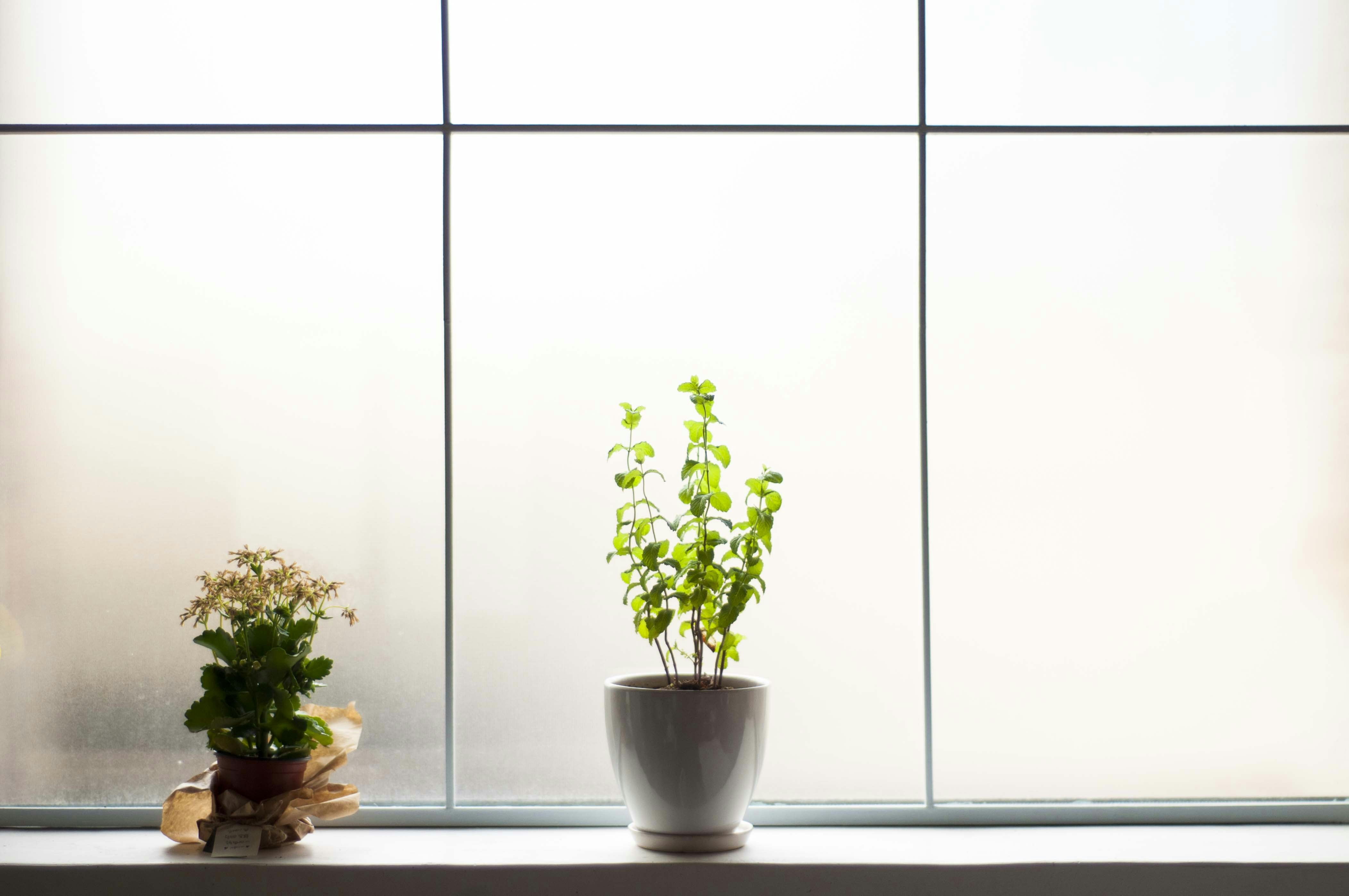 Free Unsplash photo from boram kim