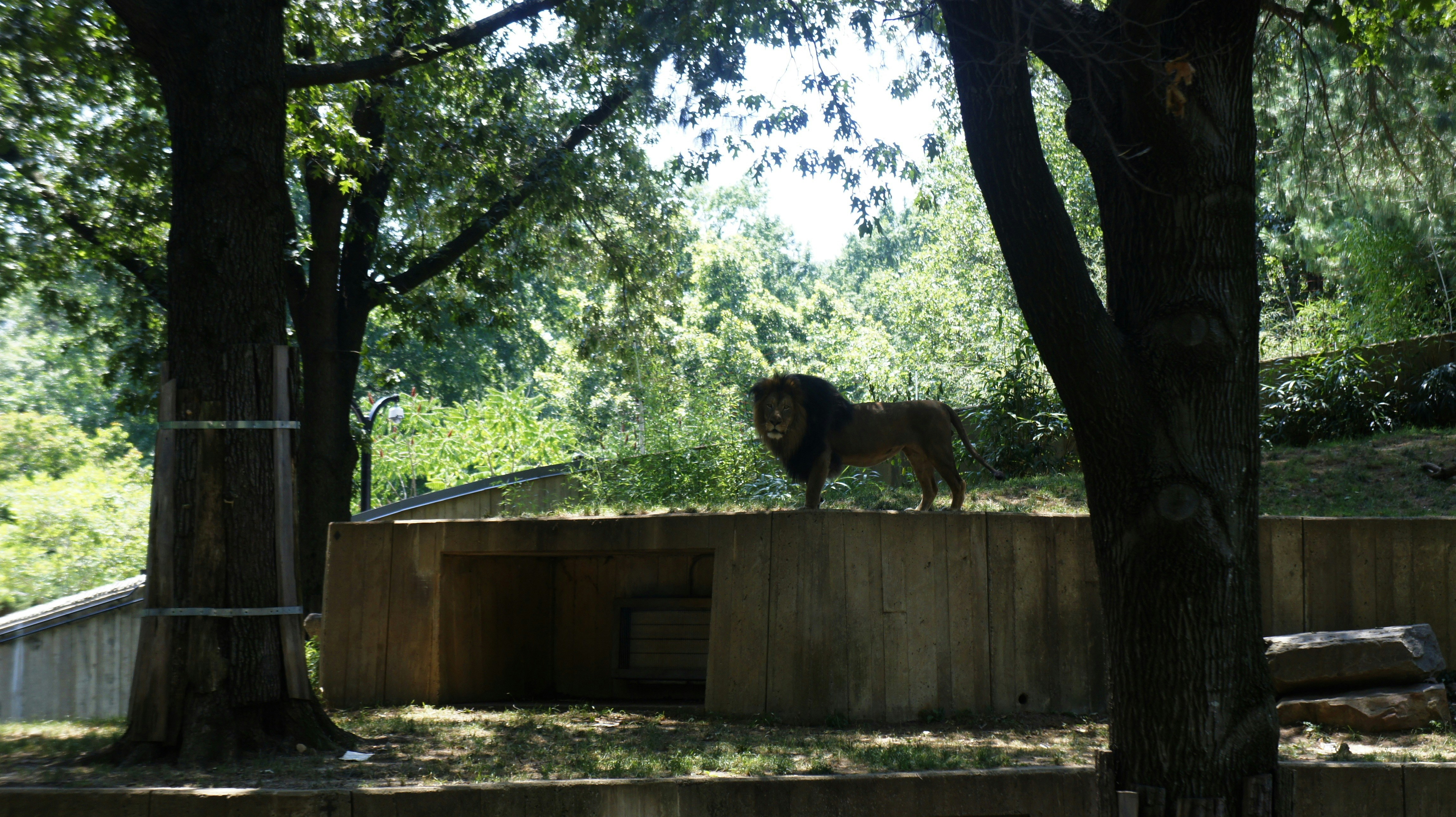 Free Unsplash photo from Paige Clark