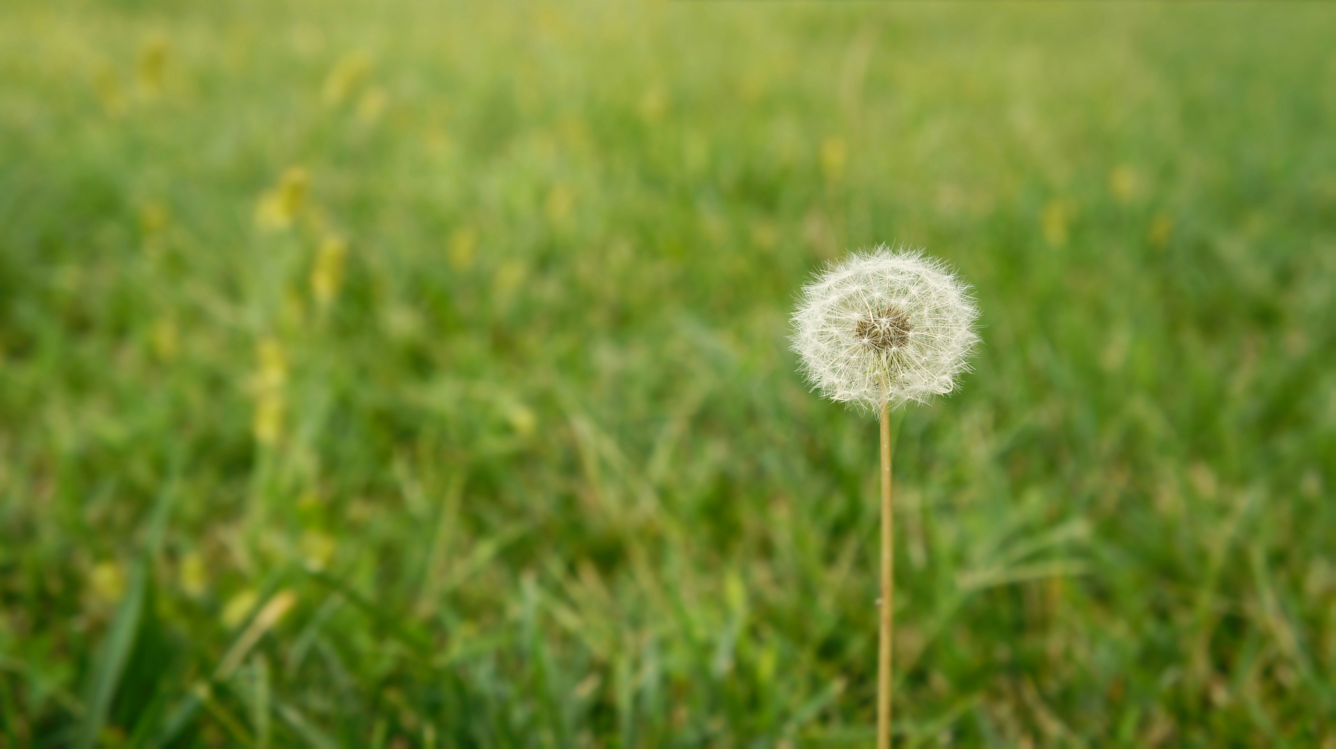 Free Unsplash photo from Paige Clark