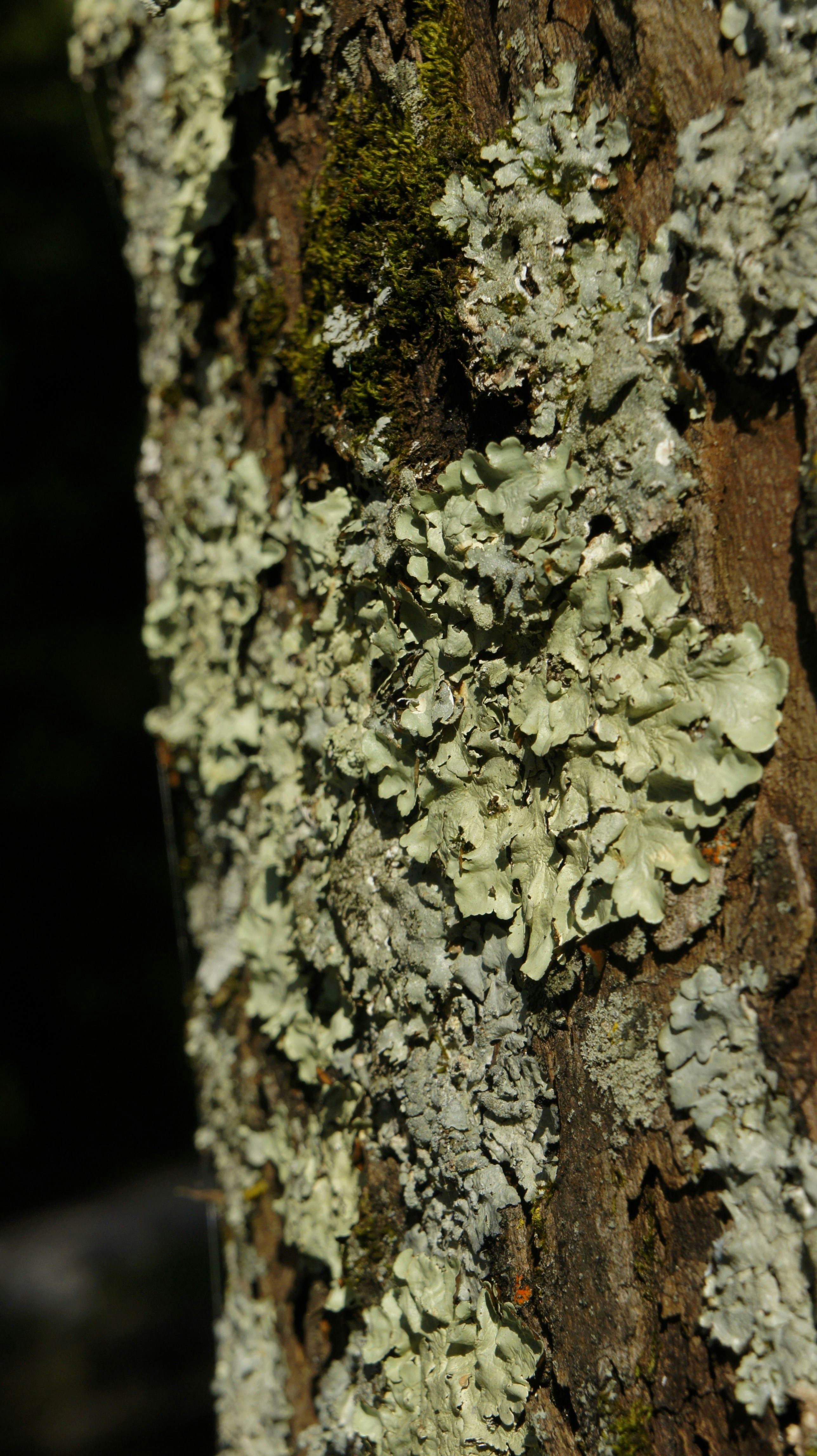 Free Unsplash photo from Paige Clark