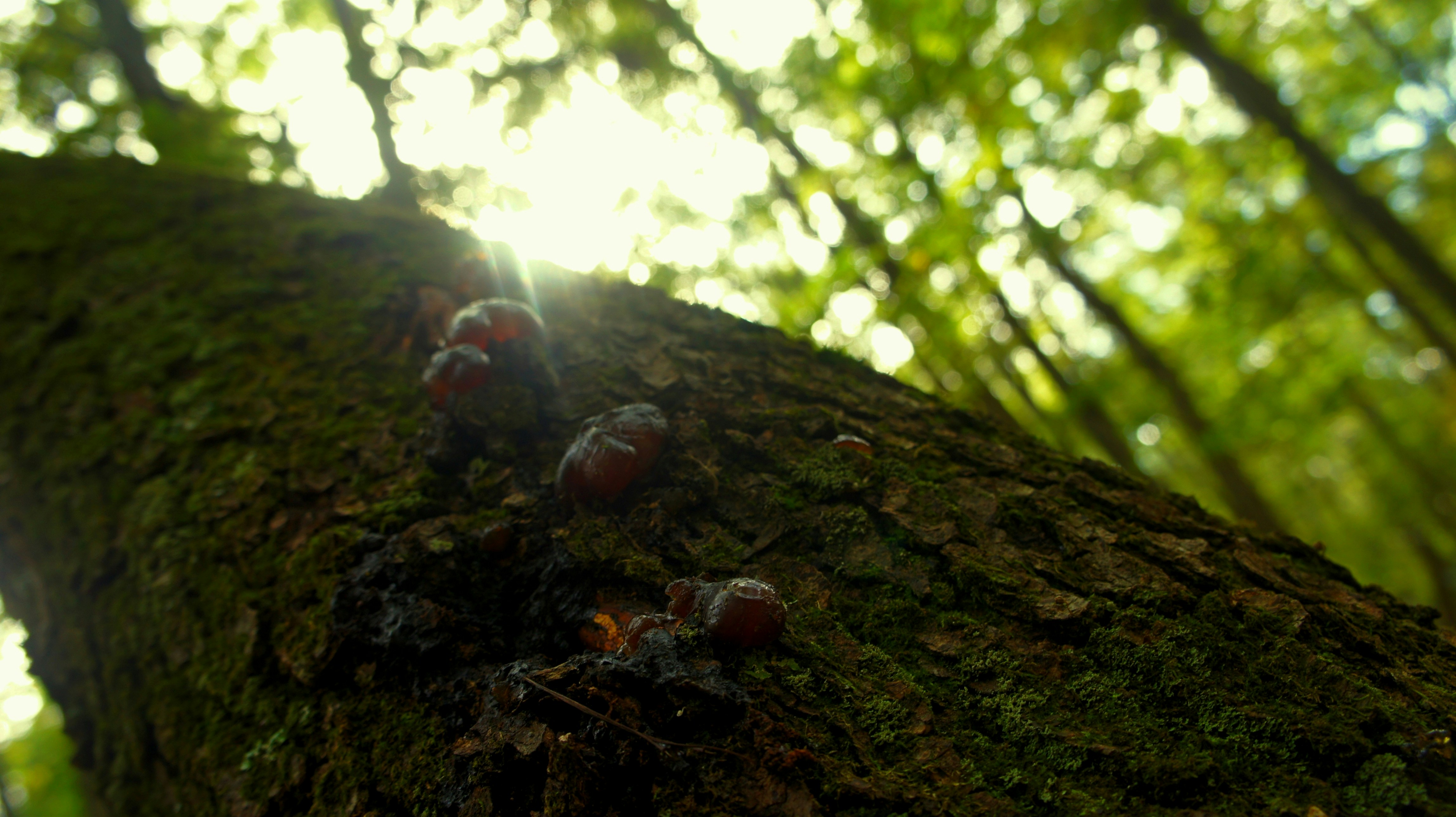 Free Unsplash photo from Paige Clark