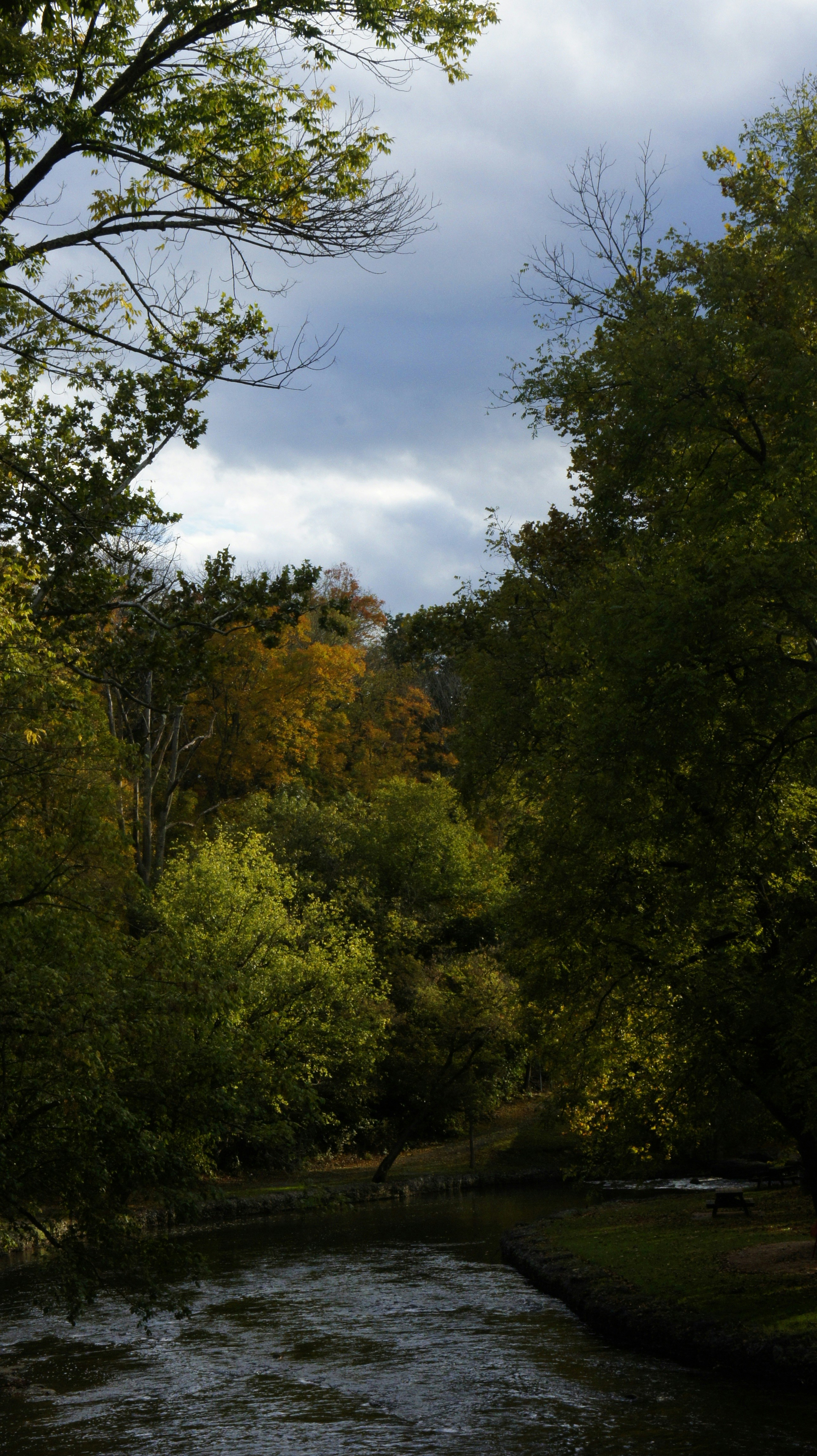 Free Unsplash photo from Paige Clark