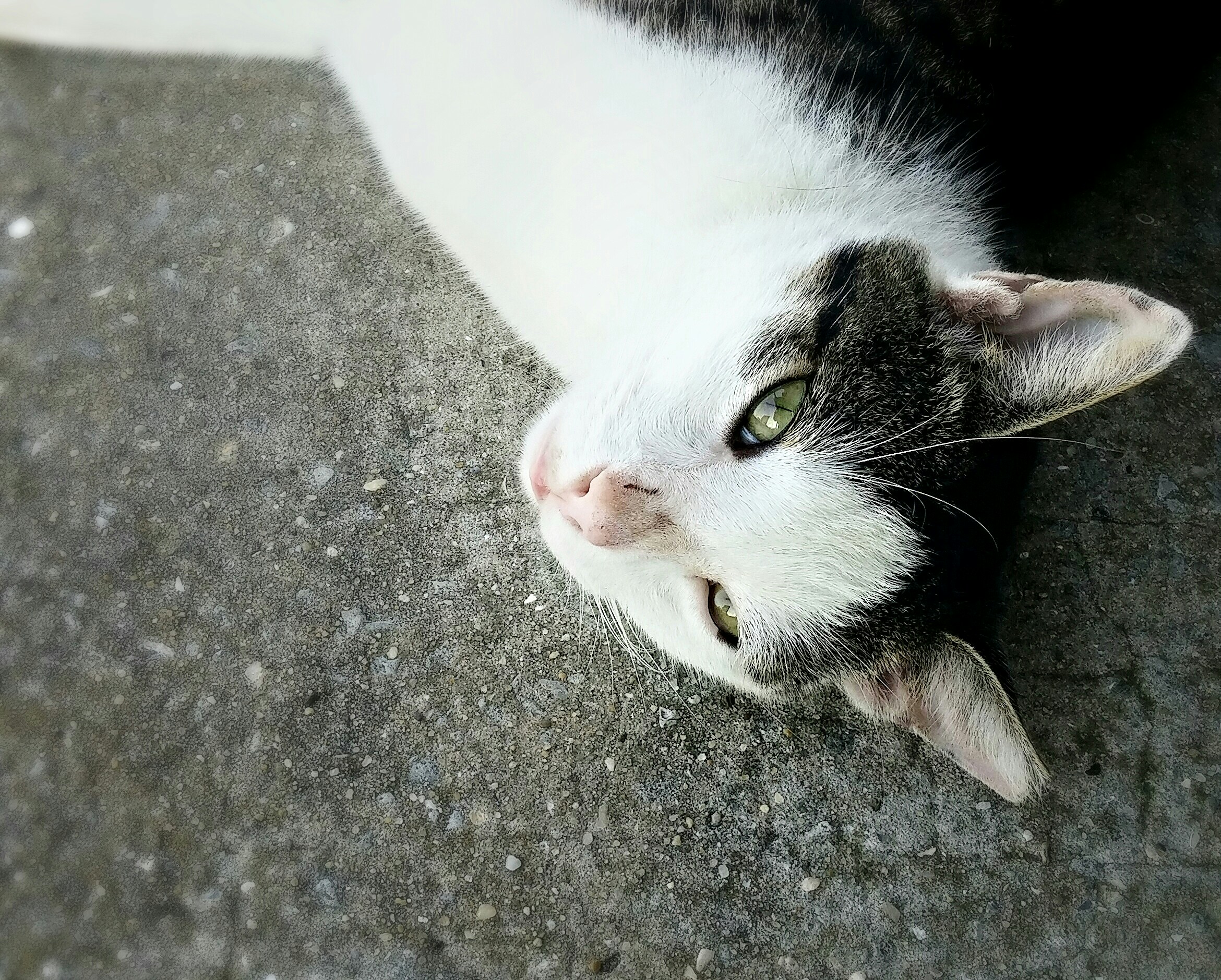 Free Unsplash photo from Paige Clark