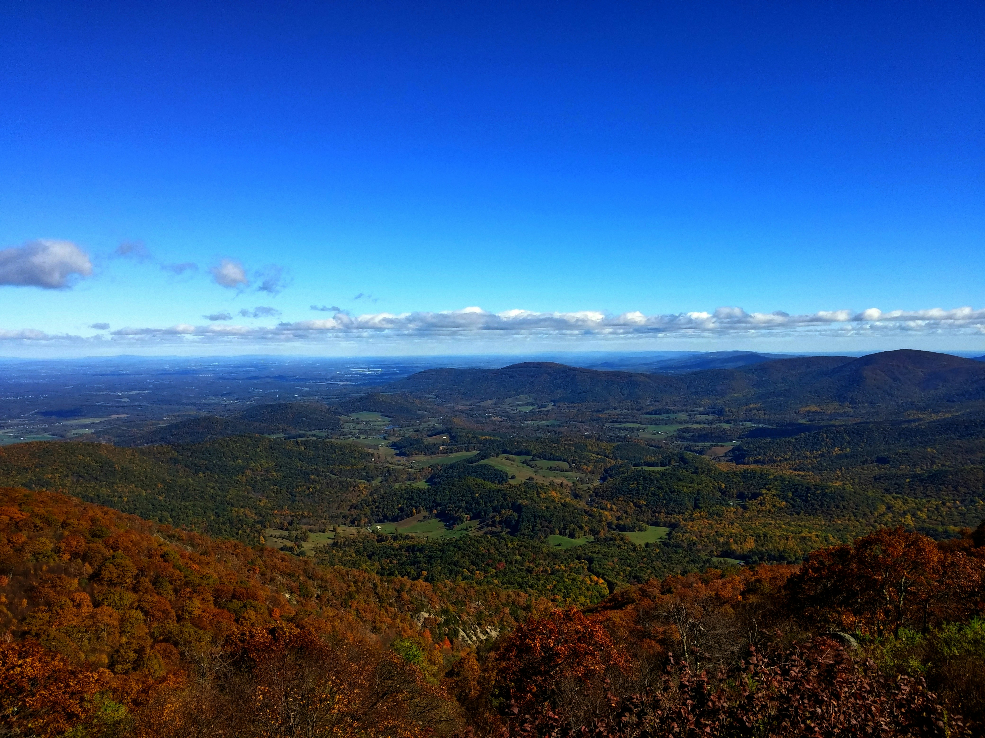 Free Unsplash photo from Paige Clark