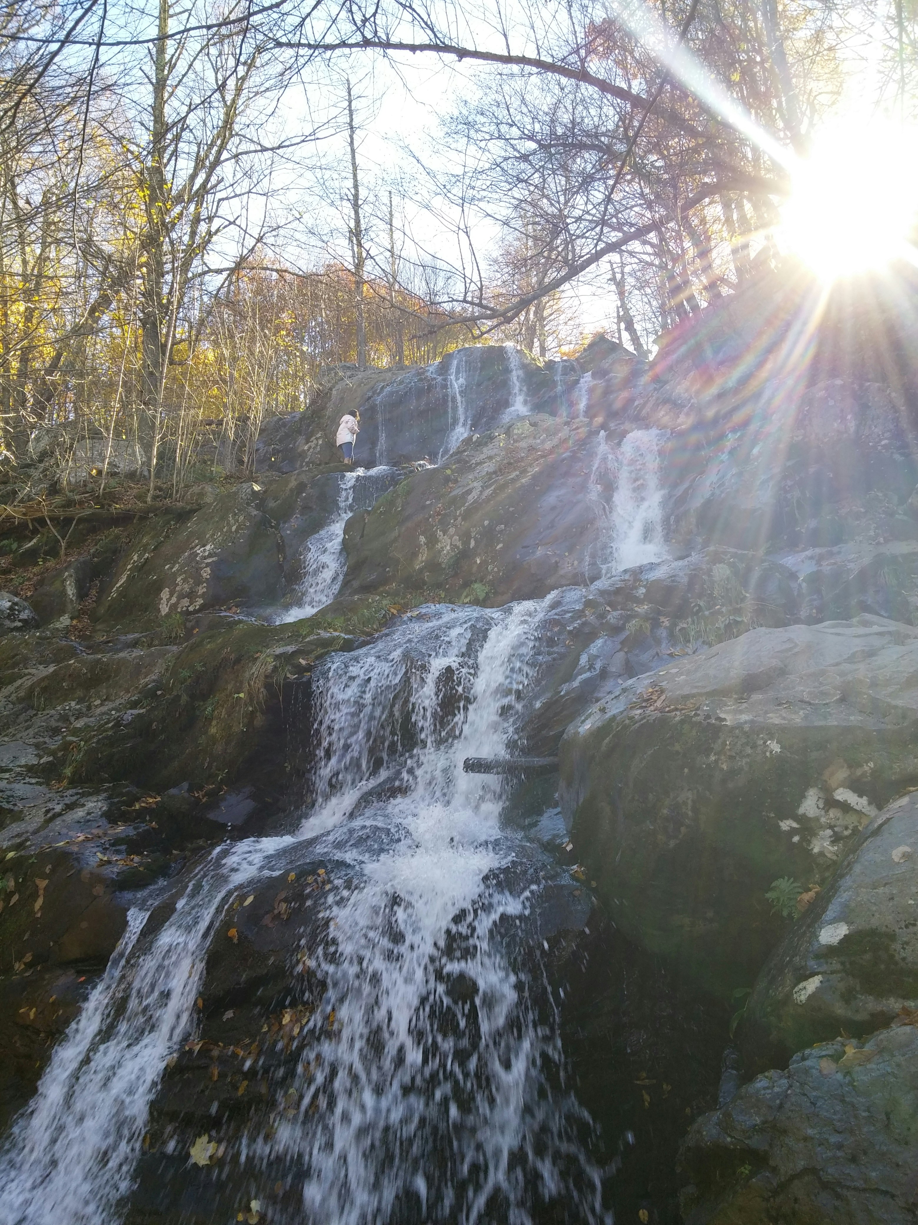 Free Unsplash photo from Paige Clark