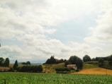 A serene landscape of a countryside home with trees.