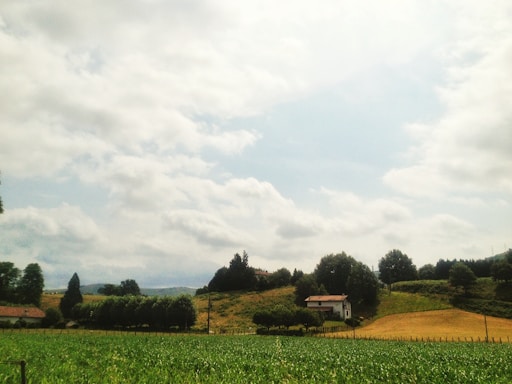 A serene view of a rural landscape with a traditional village house and green fields.