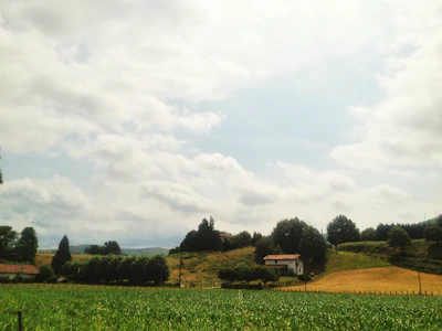 A serene farmhouse surrounded by lush green fields under a cloudy sky.