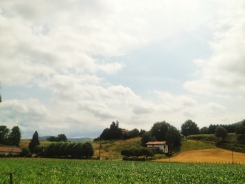 A serene rural landscape with a house nestled among trees and fields under a slightly cloudy sky. The foreground features lush green grass, while the background displays rolling hills and cultivated areas. The scene conveys a sense of calm and openness.