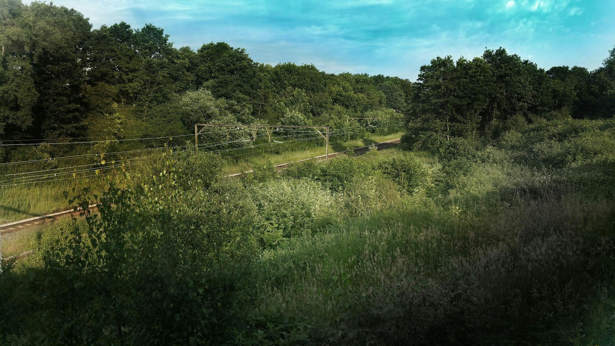 Free Unsplash photo from Jack Alford