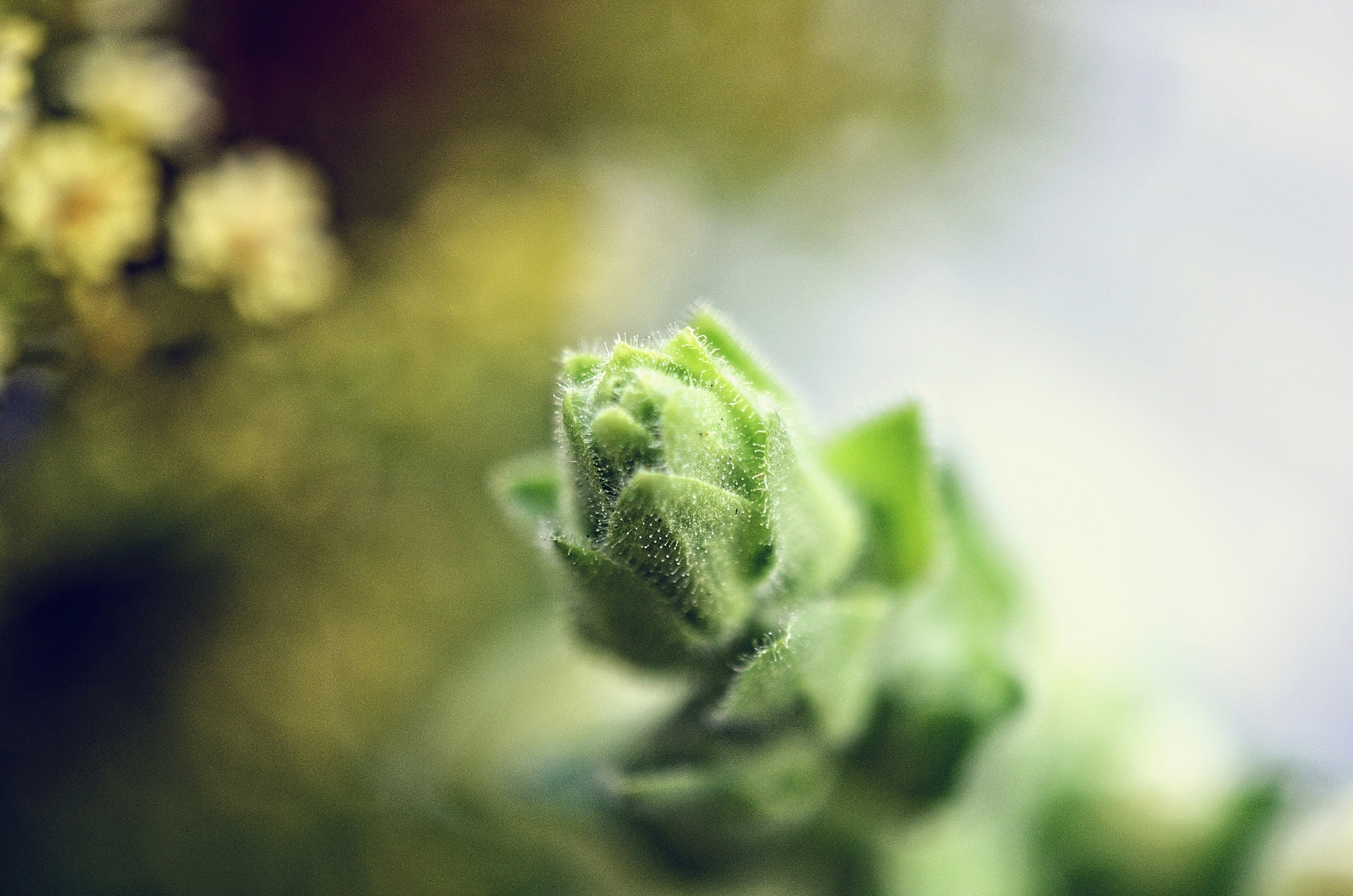 Free Unsplash photo from Erik Jonsson