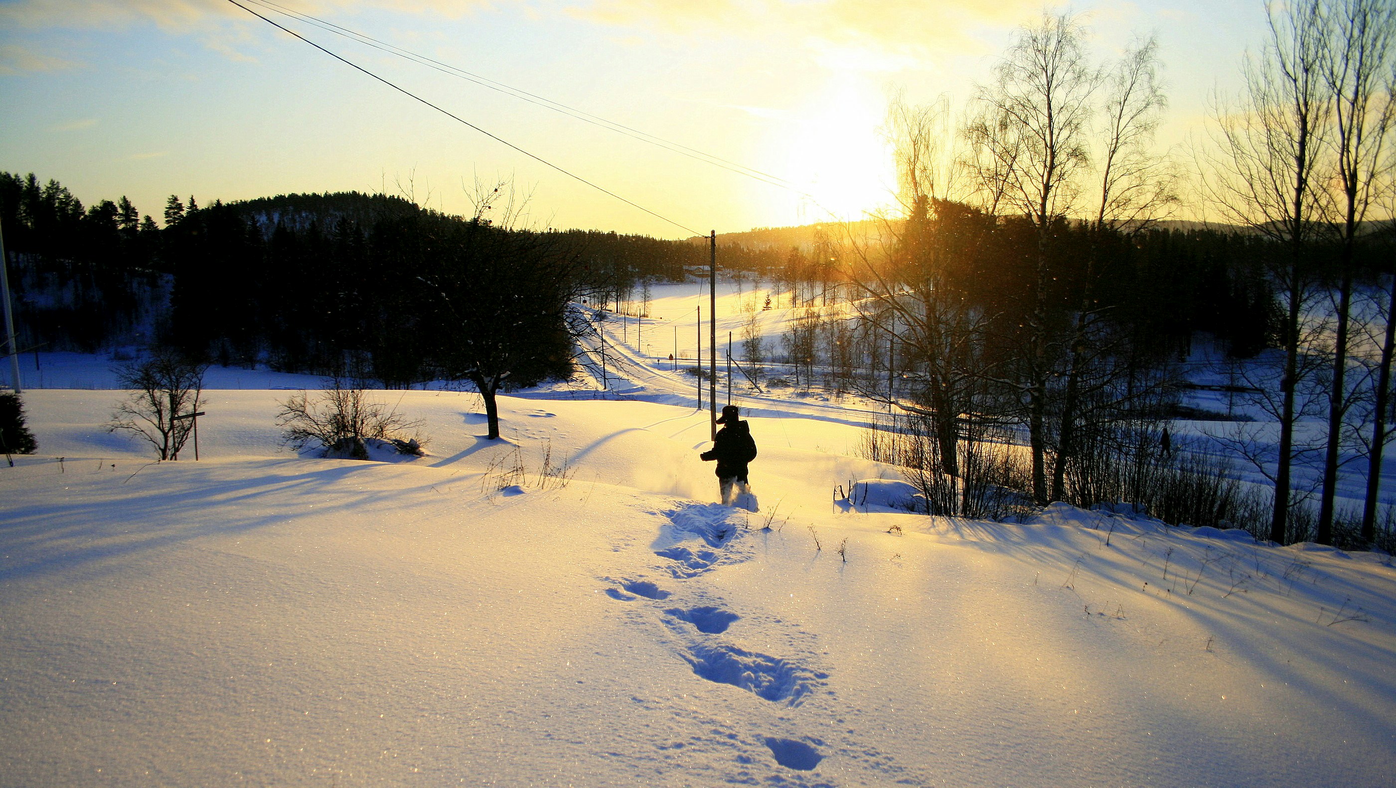 Free Unsplash photo from Erik Jonsson