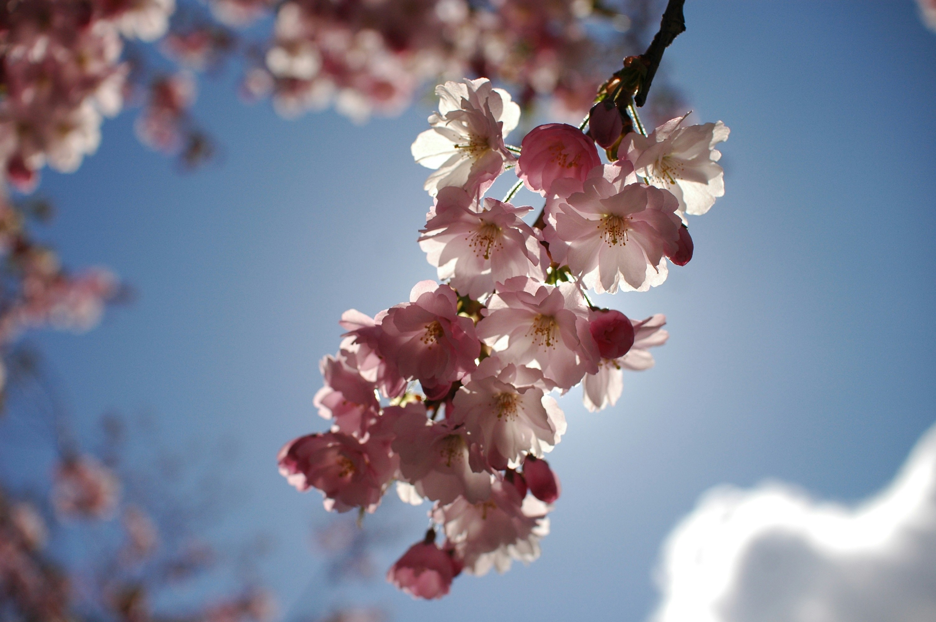 Free Unsplash photo from Erik Jonsson