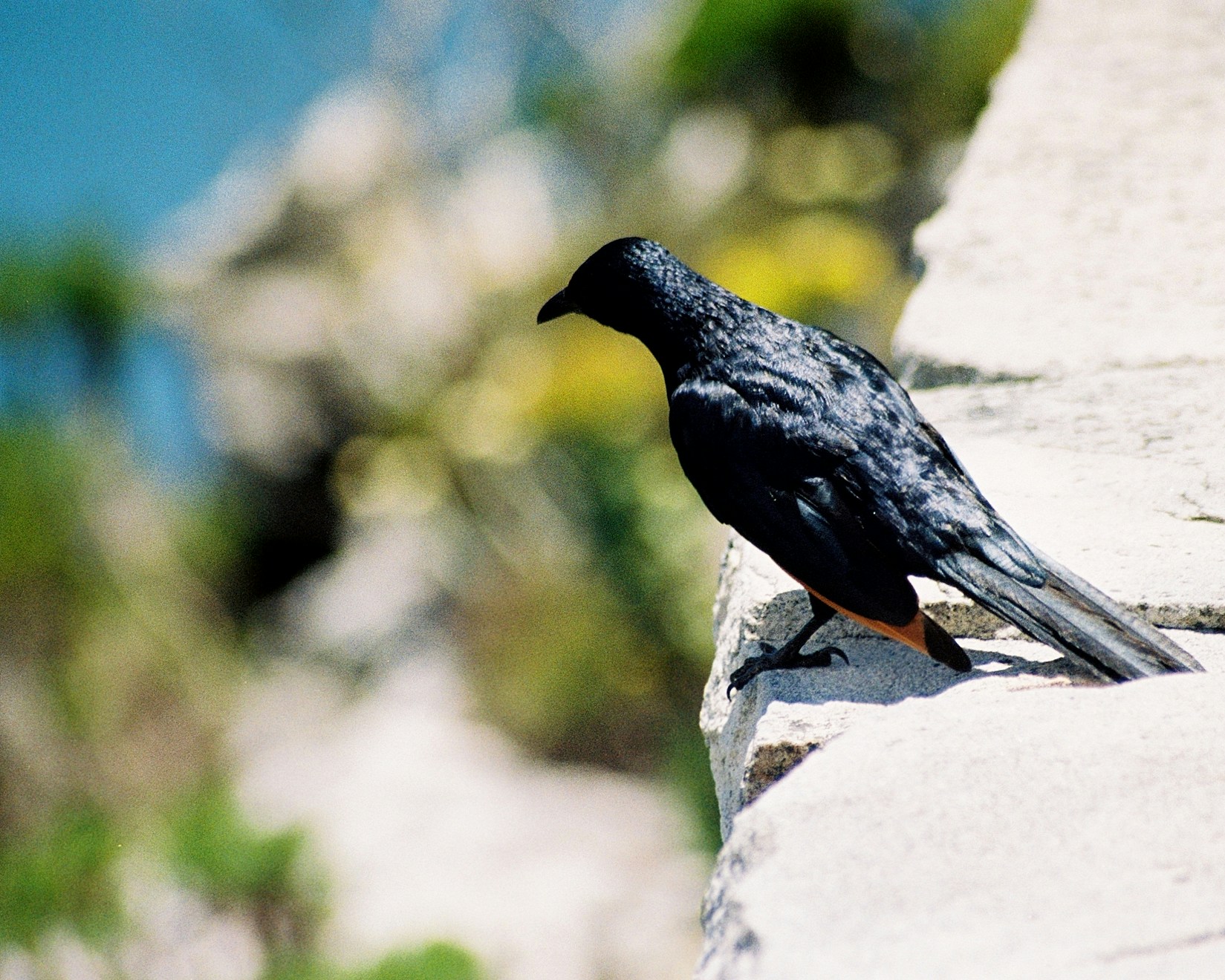 Free Unsplash photo from Erik Jonsson