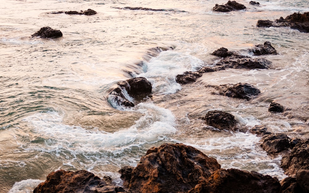 ocean during daytime