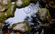 closeup photography of stones