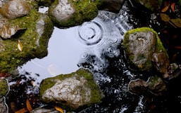 closeup photography of stones