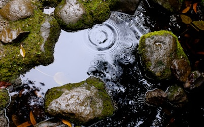 closeup photography of stones