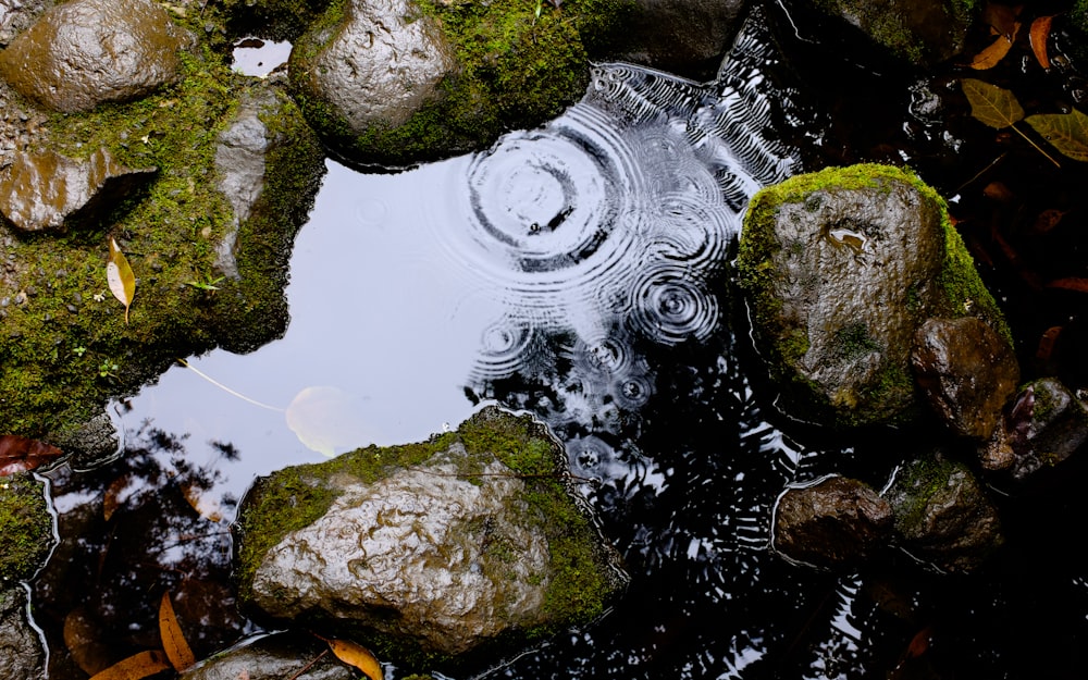 closeup photography of stones