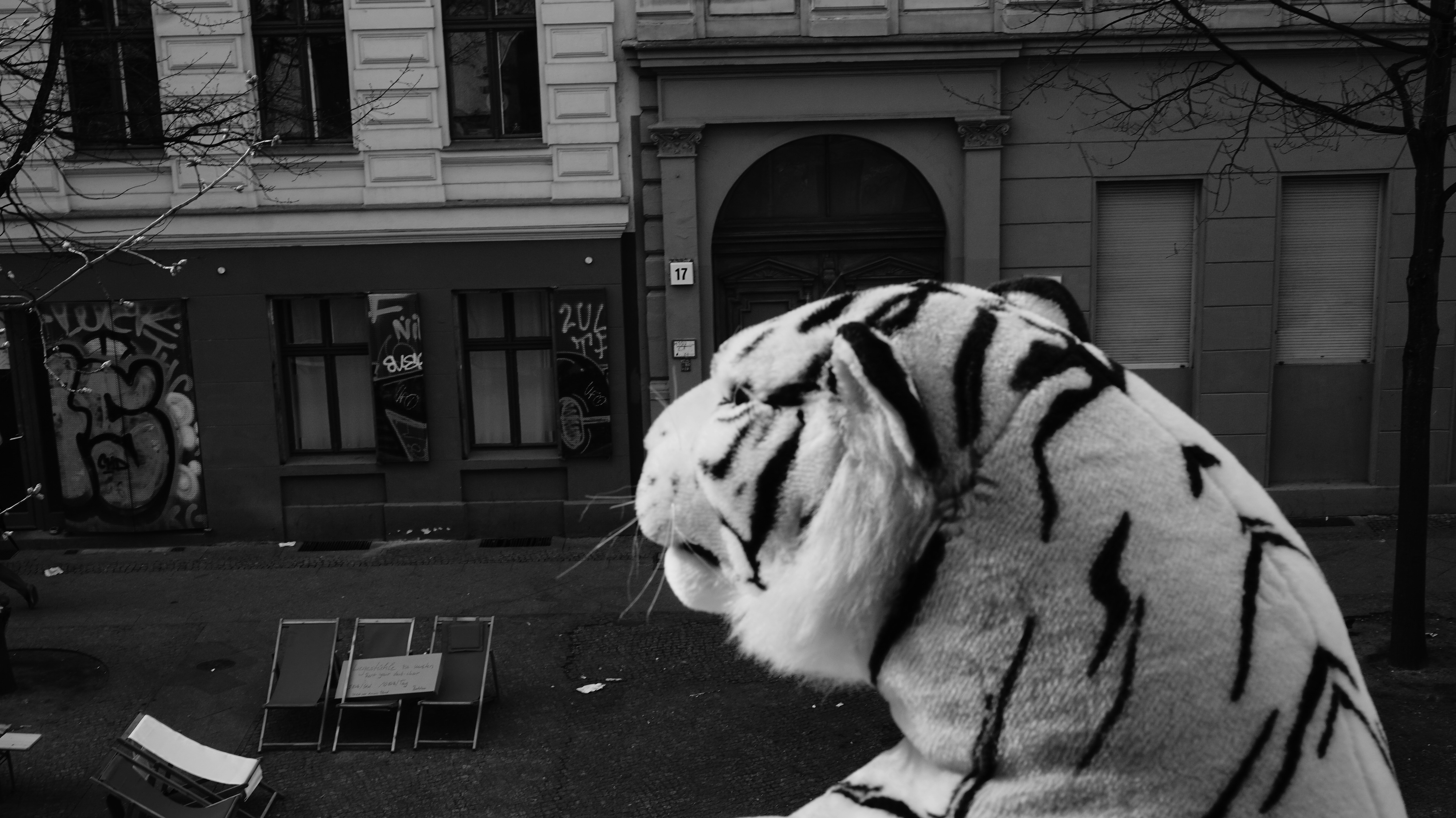 Free Unsplash photo from Demian Schuck