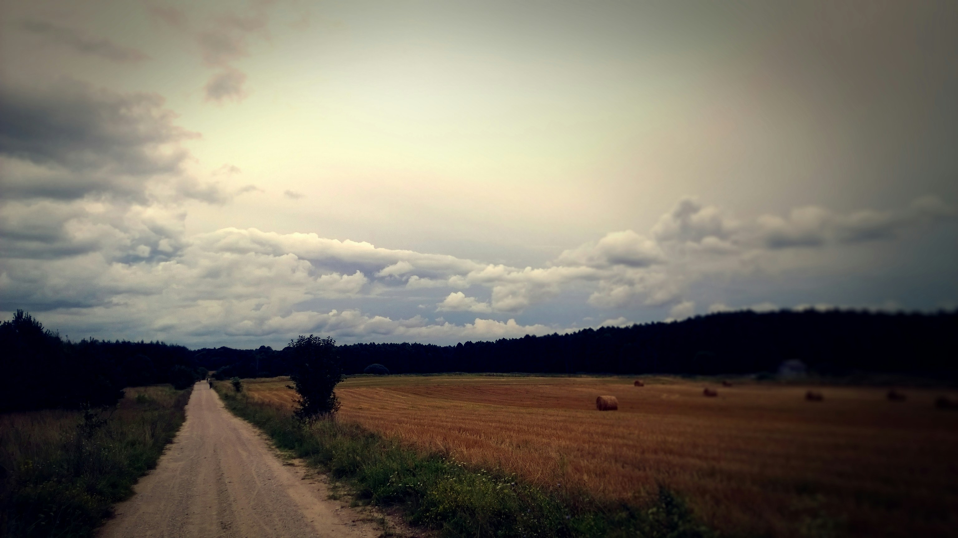 Free Unsplash photo from Artur Leszczynski