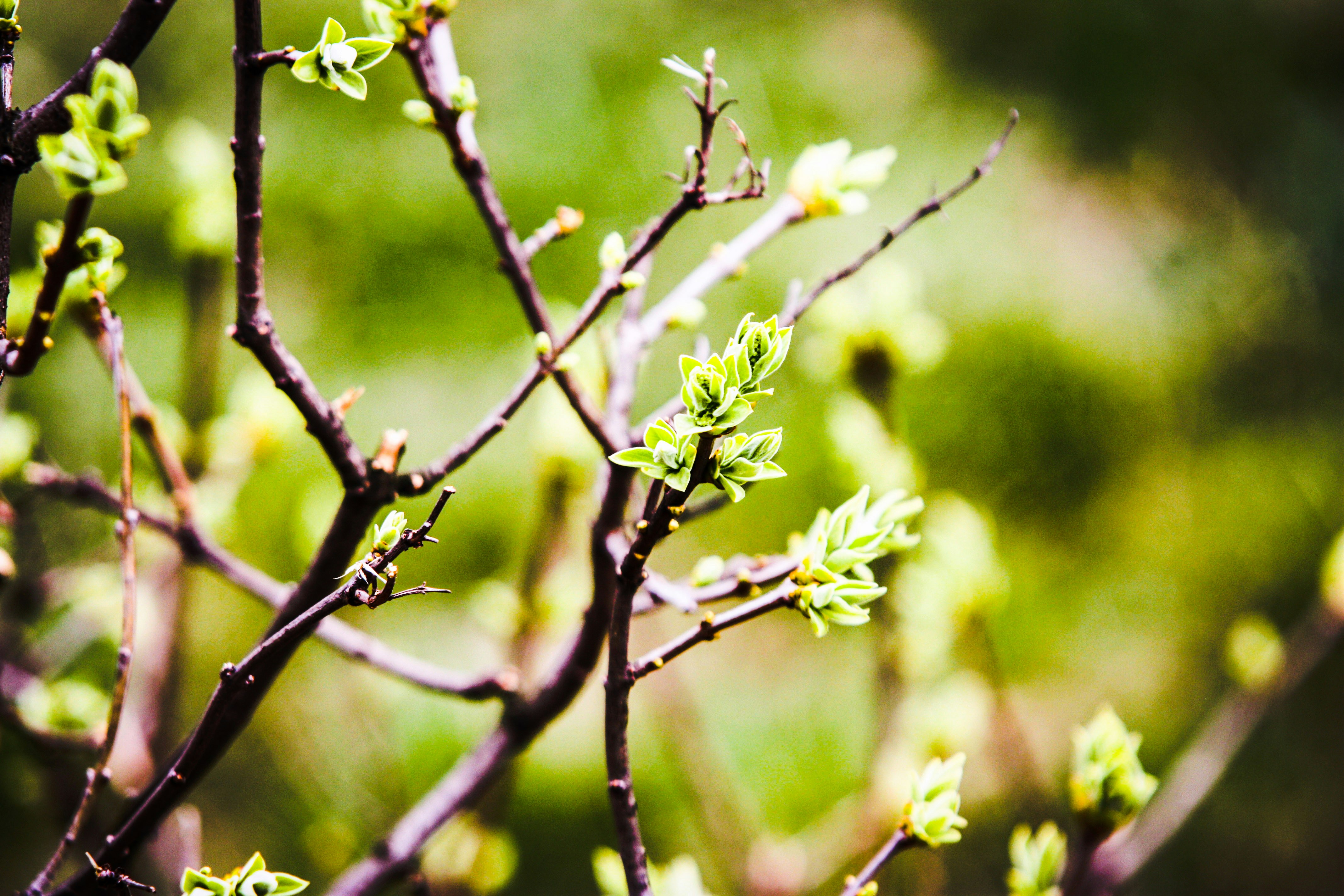 Free Unsplash photo from Artur Leszczynski