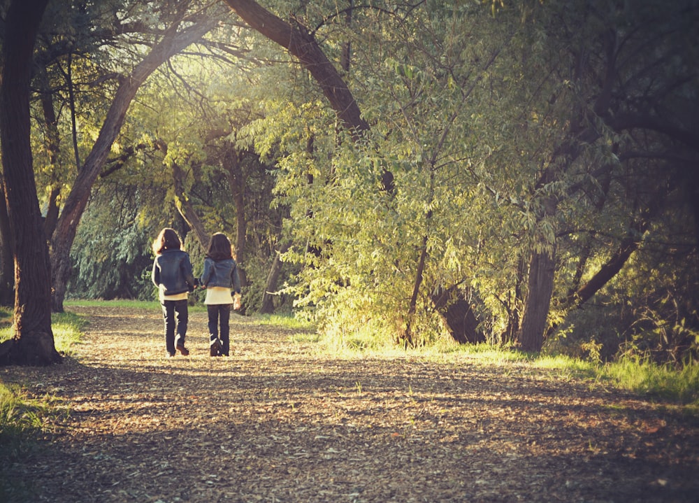 two girl's in blue coat walking road beside trees