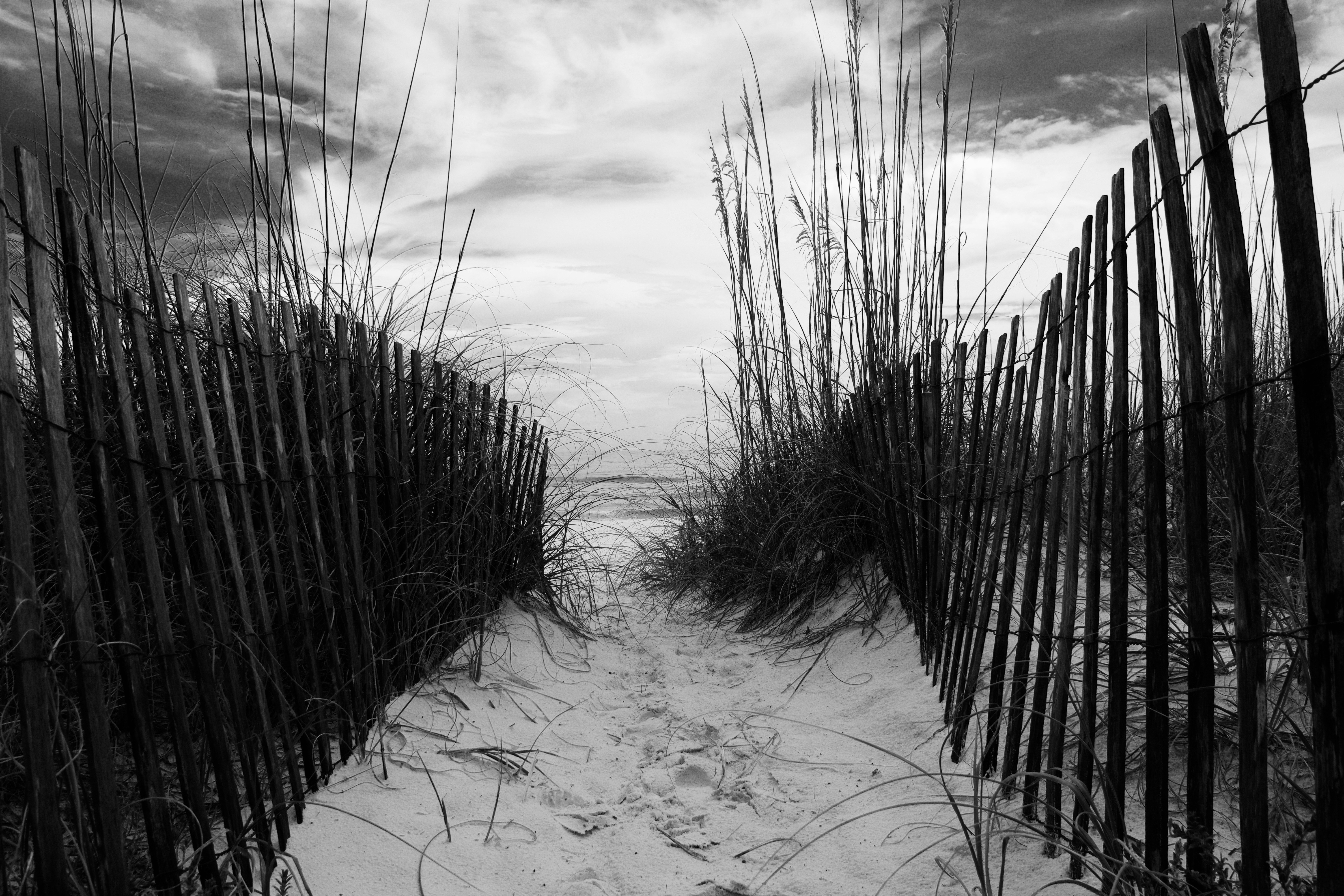 Free Unsplash photo from Shooshanig Berumen