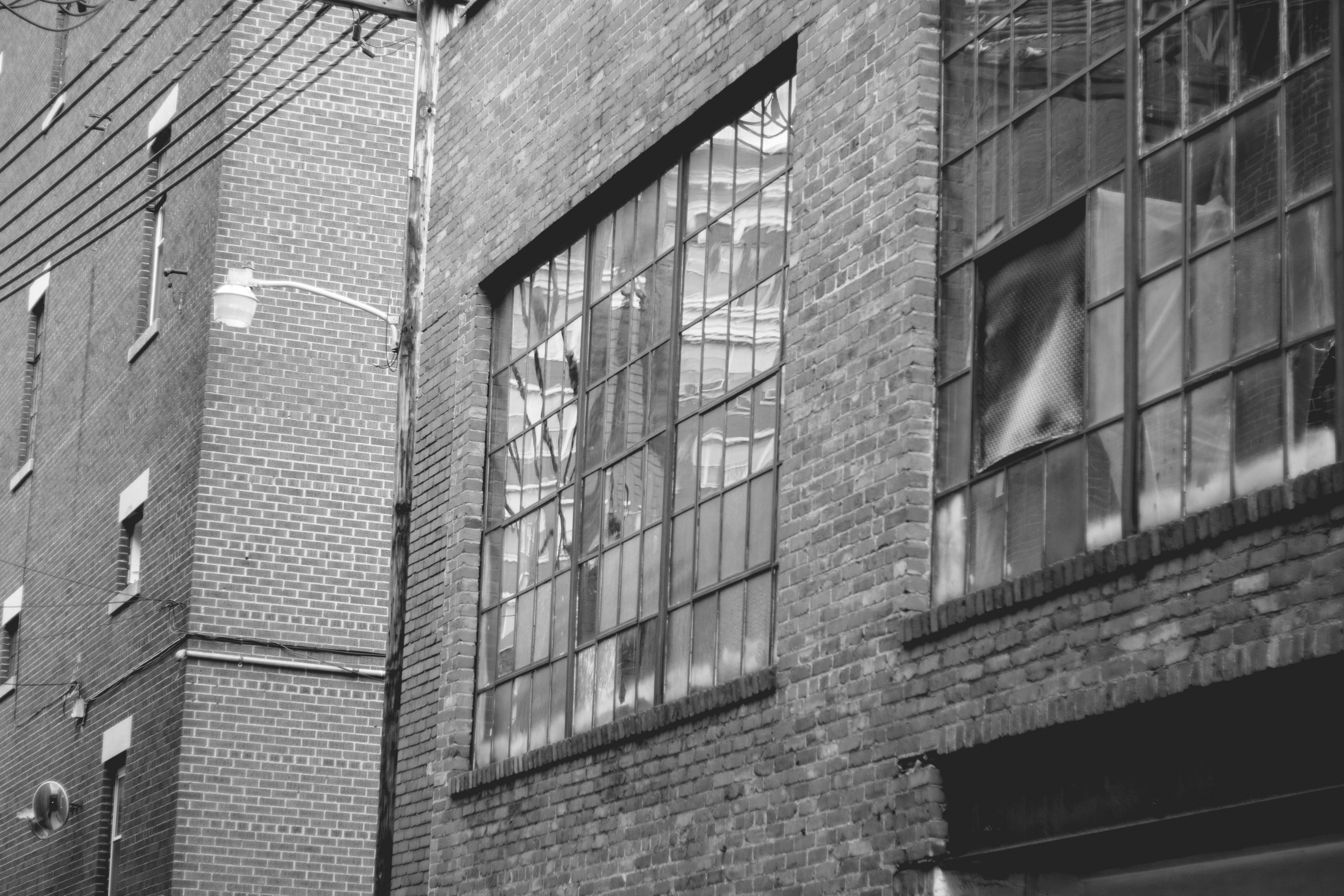 Free Unsplash photo from Alex Jones