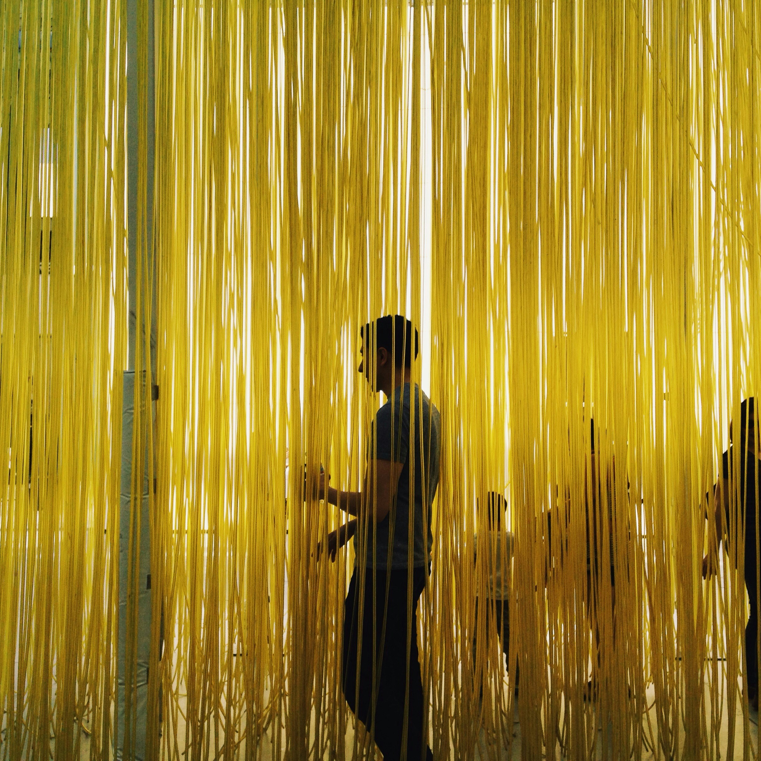 Free Unsplash photo from Lizette Carrasco