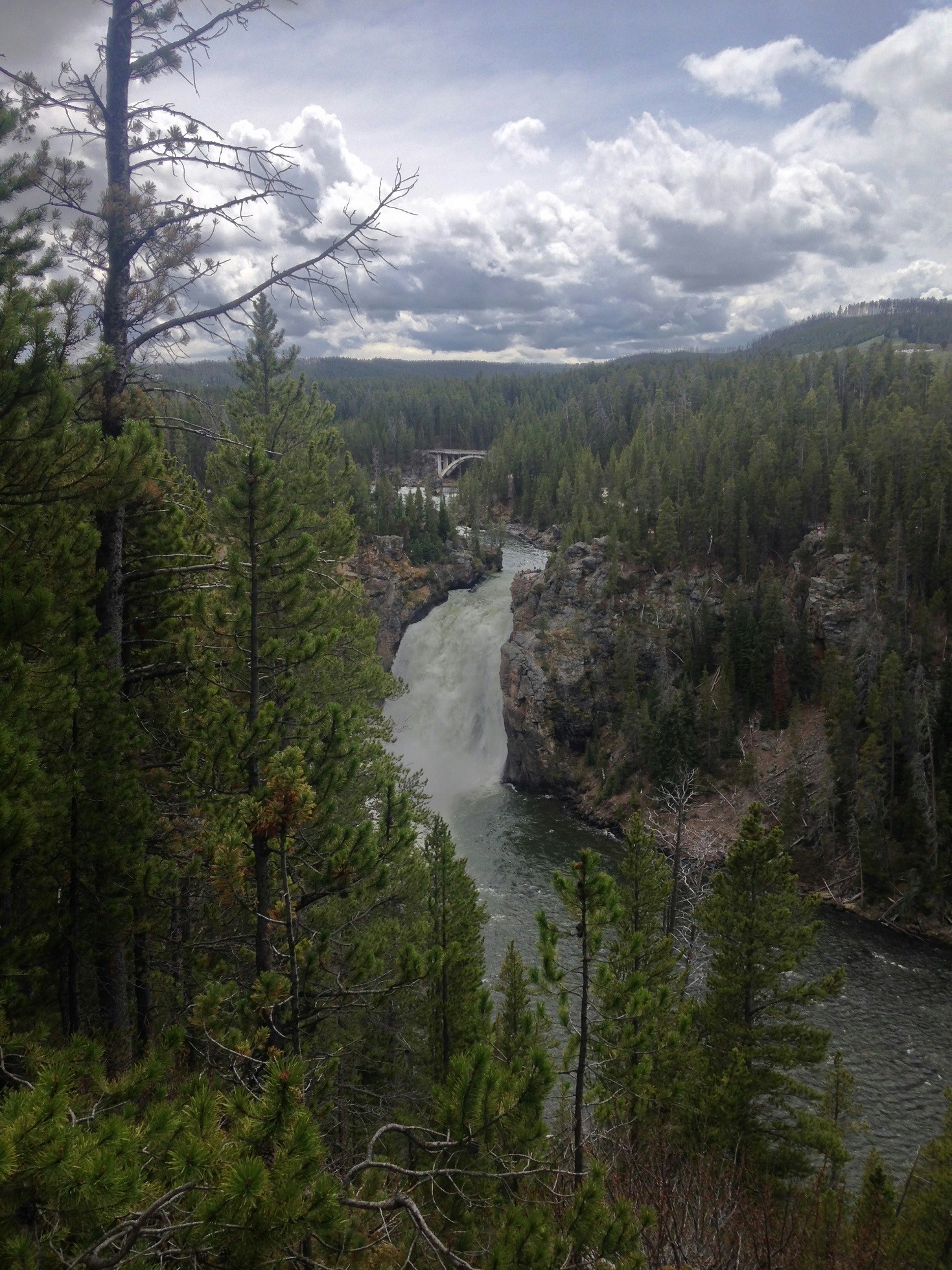 Free Unsplash photo from Lizette Carrasco