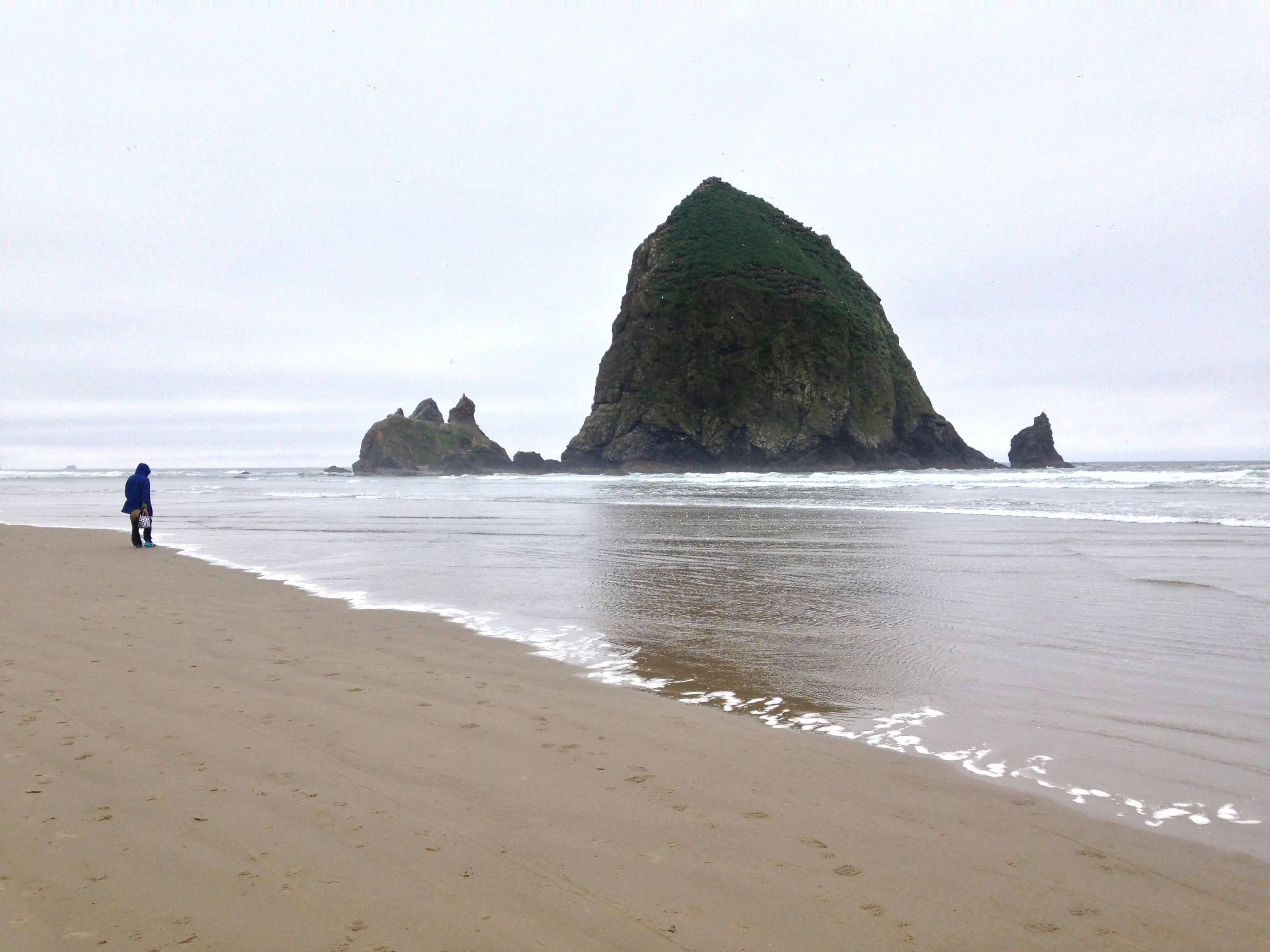 Free Unsplash photo from Lizette Carrasco