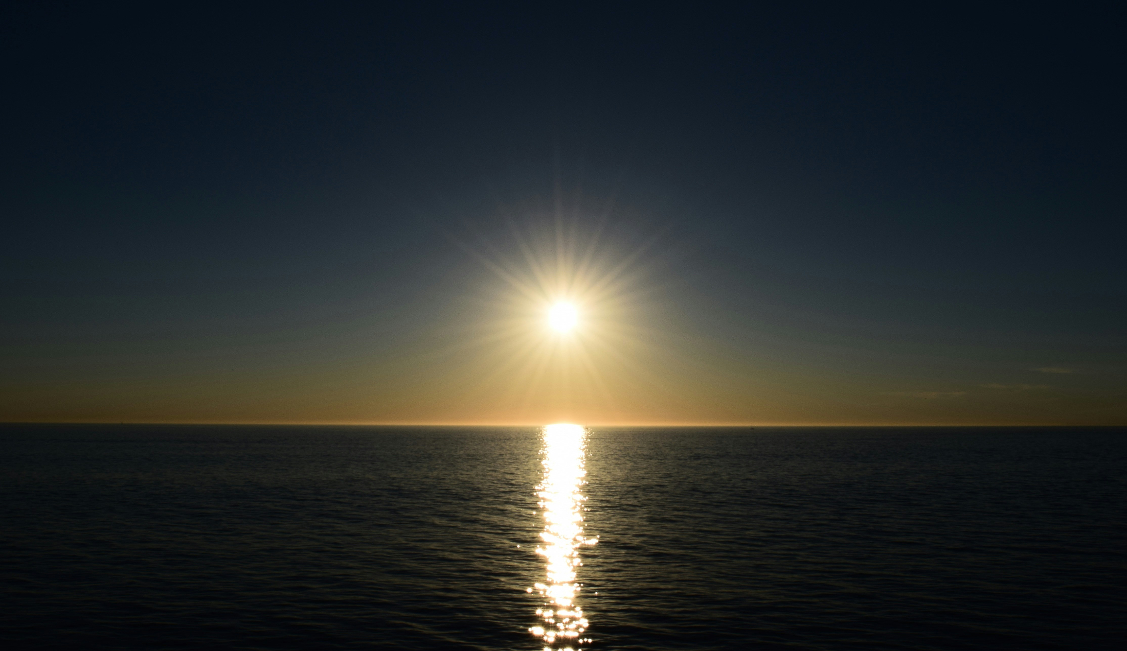 Free Unsplash photo from Shooshanig Berumen