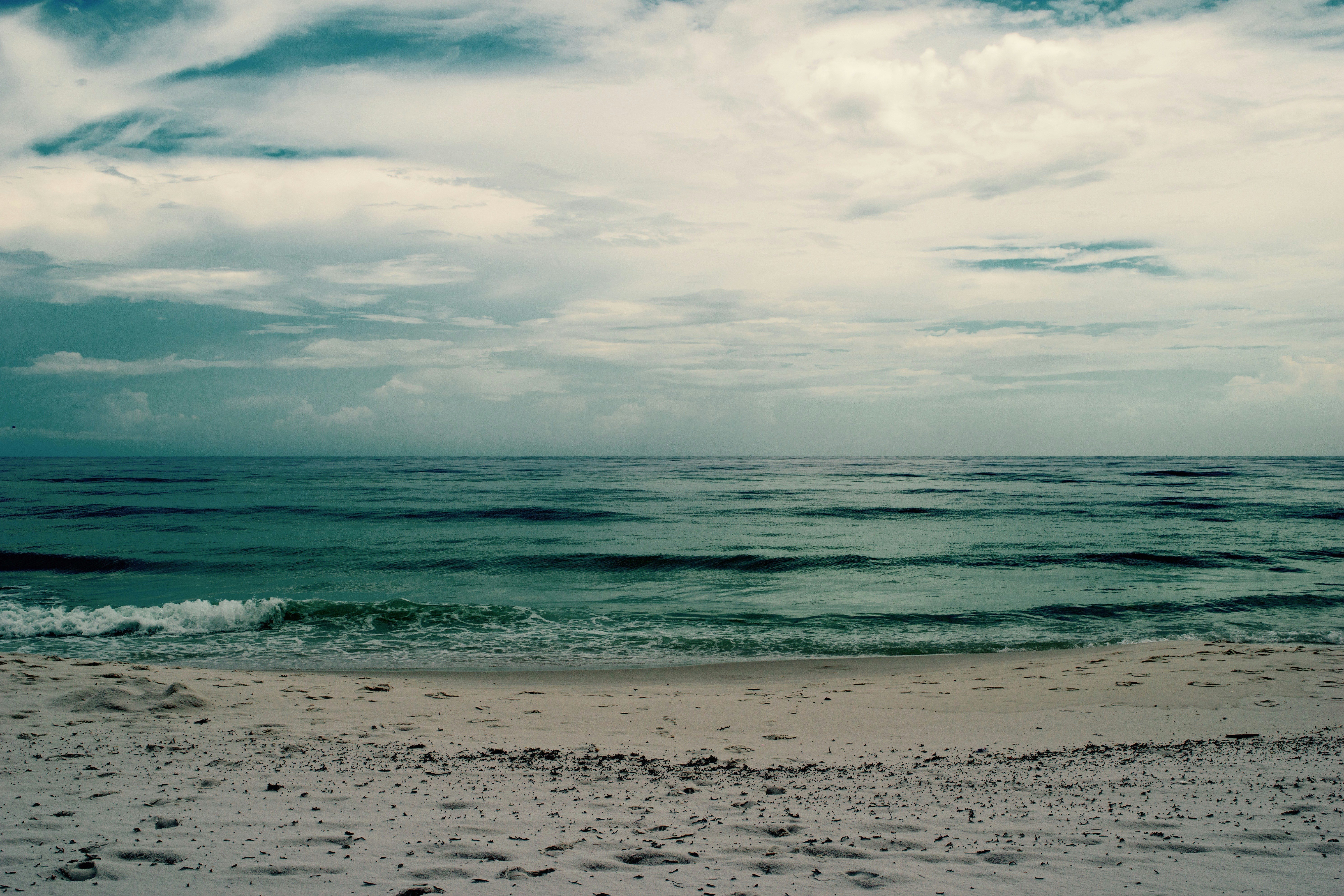 Free Unsplash photo from Shooshanig Berumen