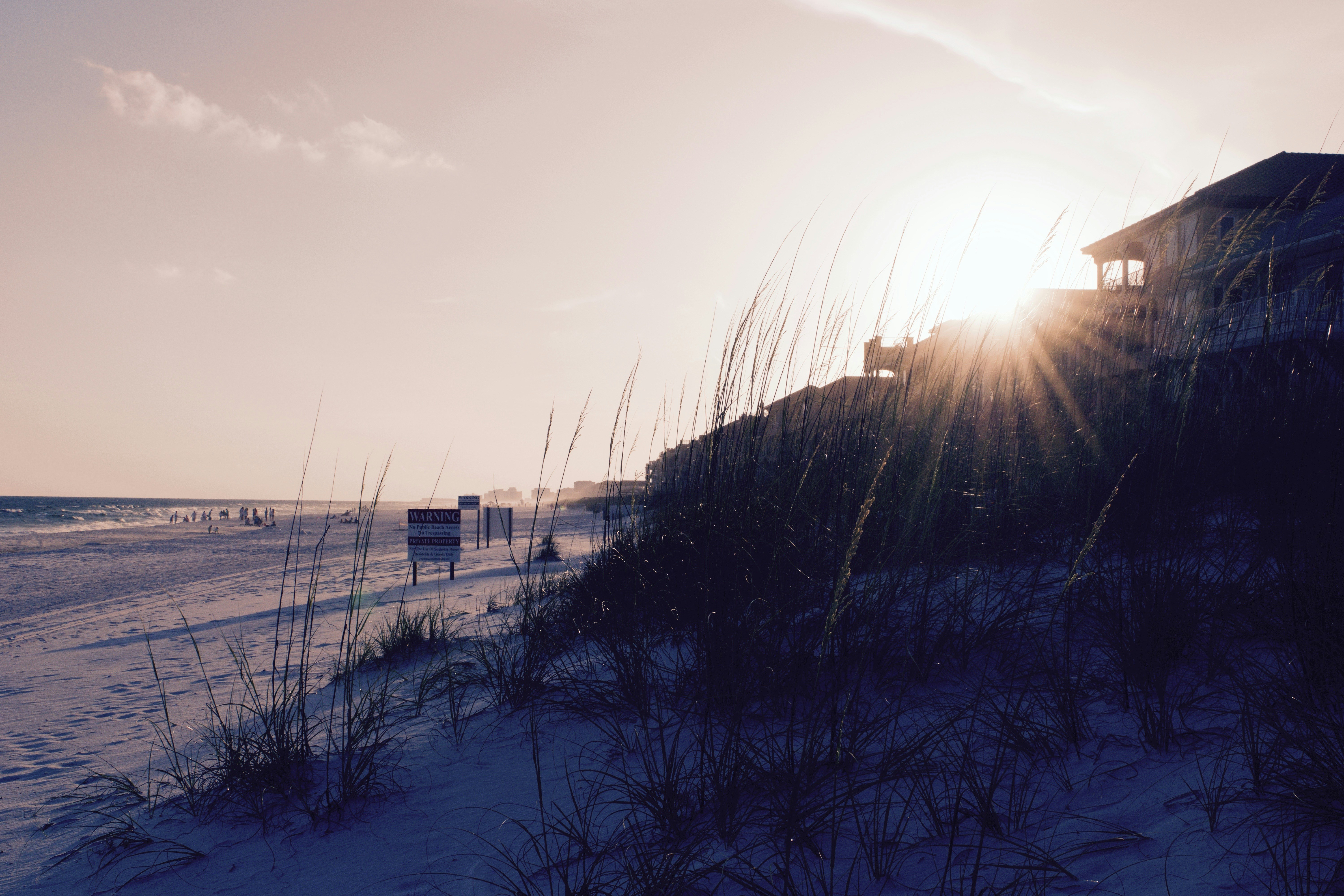 Free Unsplash photo from Shooshanig Berumen