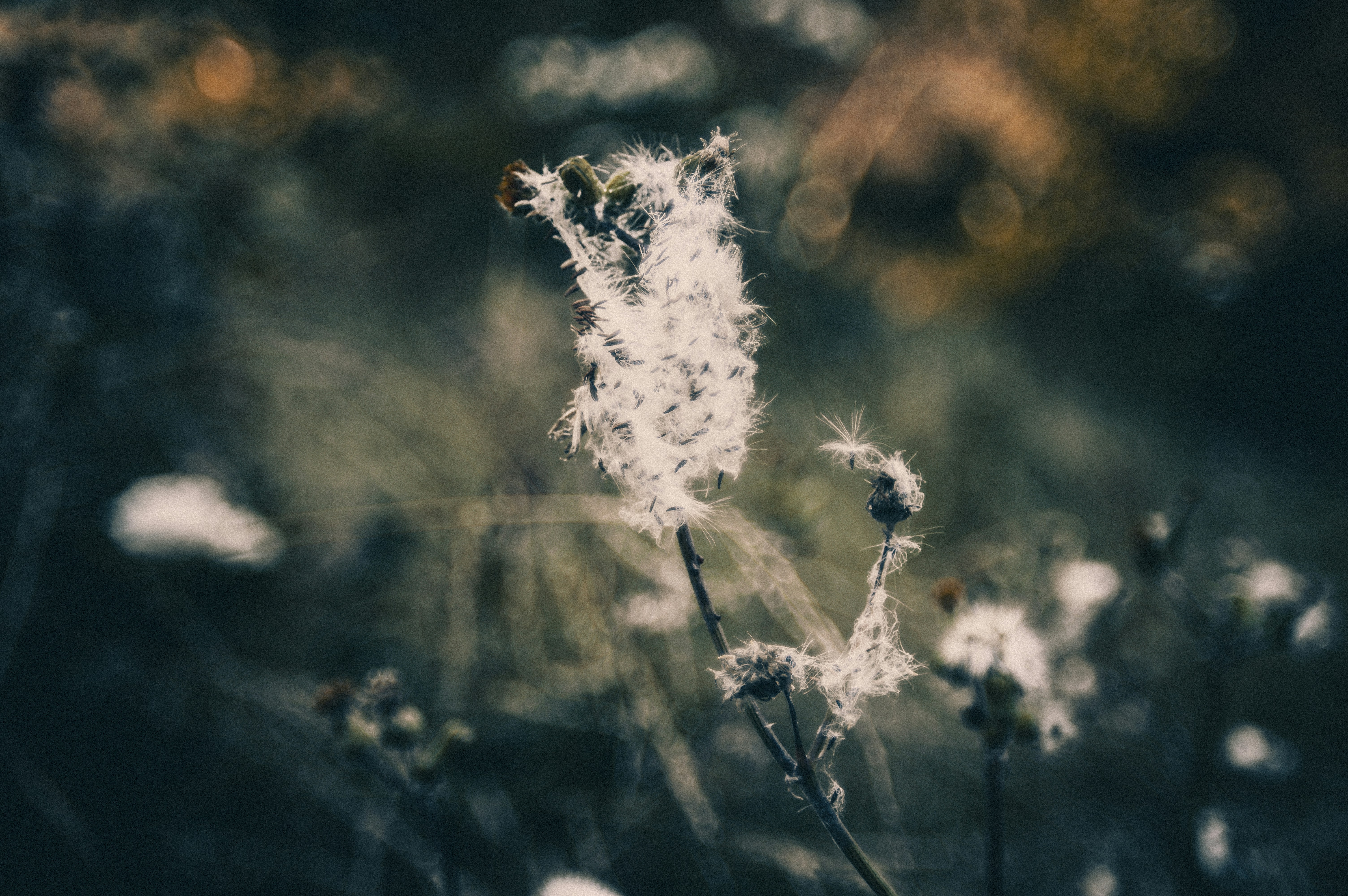 Free Unsplash photo from nerrds