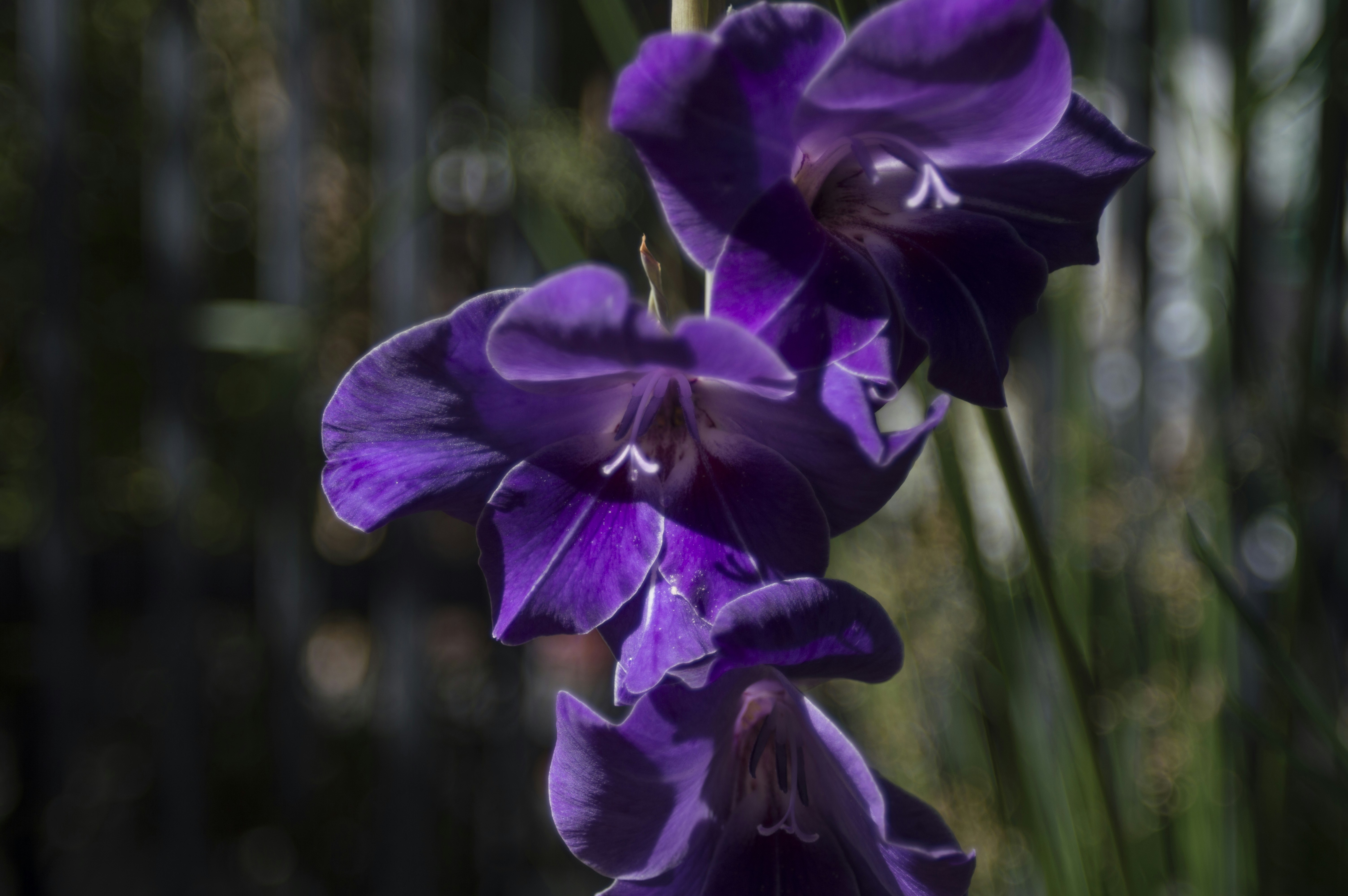 Free Unsplash photo from nerrds